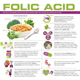 Century® Folic Acid 400 mcg 250 Tablets, 800 mcg 180 Tablets กรดโฟลิก