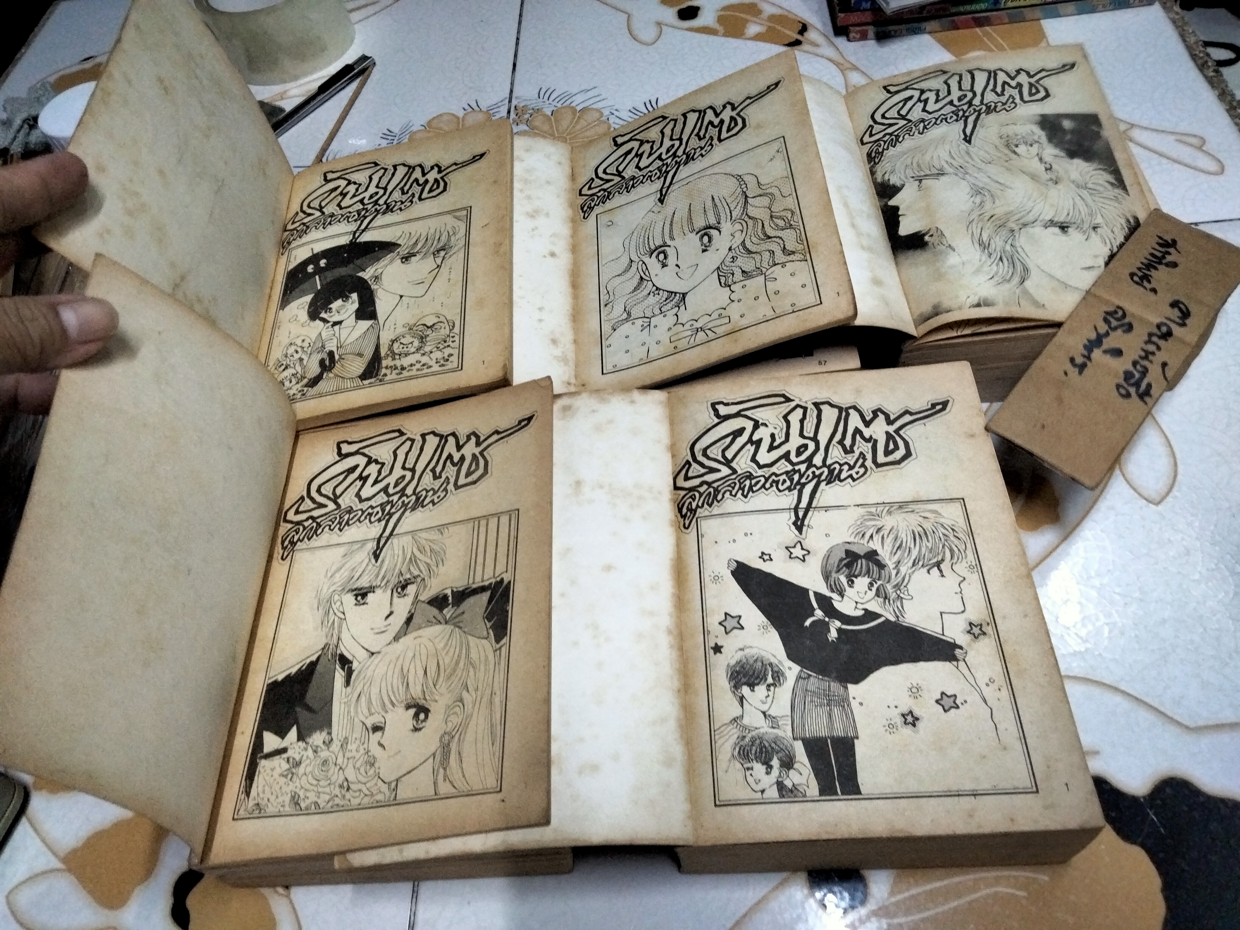 รันเซ ลูกสาวซาตาน ภาค 1 (5 เล่มจบ) ผลงานเก่าหายากชอง IKEINO KOI (ตำหนิเล่ม 3)