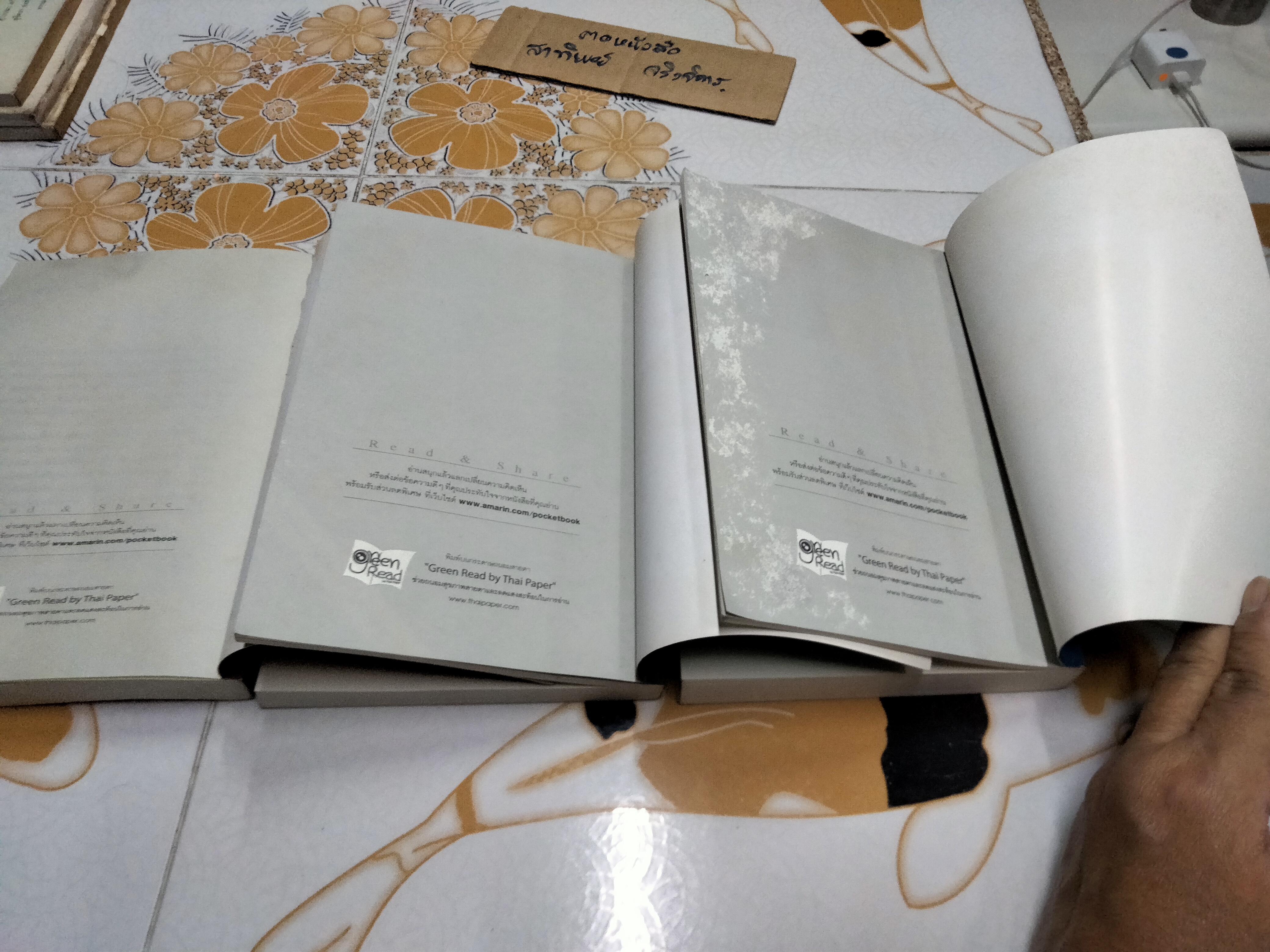 วรรณกรรมเยาวชน เซรีญา (3 เล่มจบ-พิมพ์แรก พ.ศ.2548) โดย พัณณิดา ภูมิวัฒน์