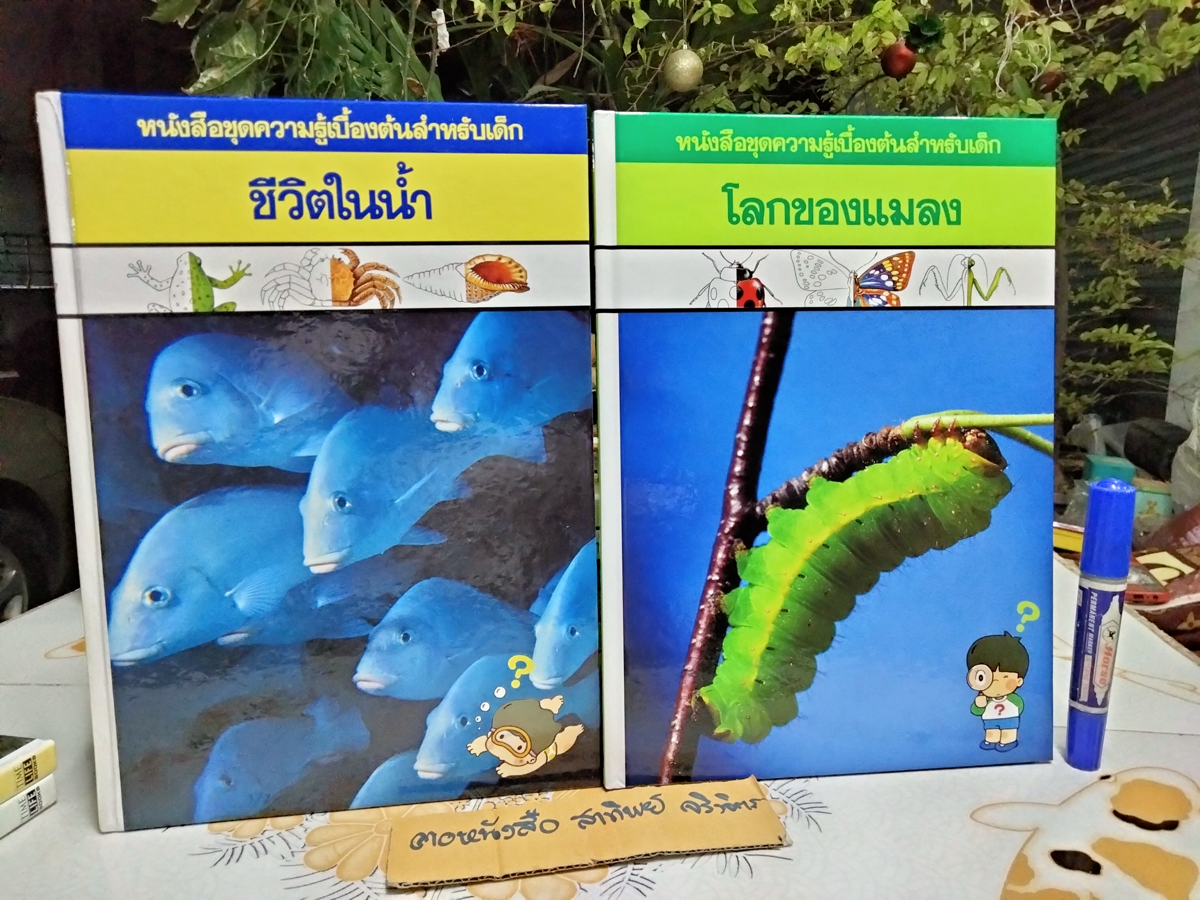 หนังสือชุดความรู้เบื้องต้นสำหรับเด็ก (ปกแข็ง) ขายรวม 13 เล่ม (24 เล่มชุด)