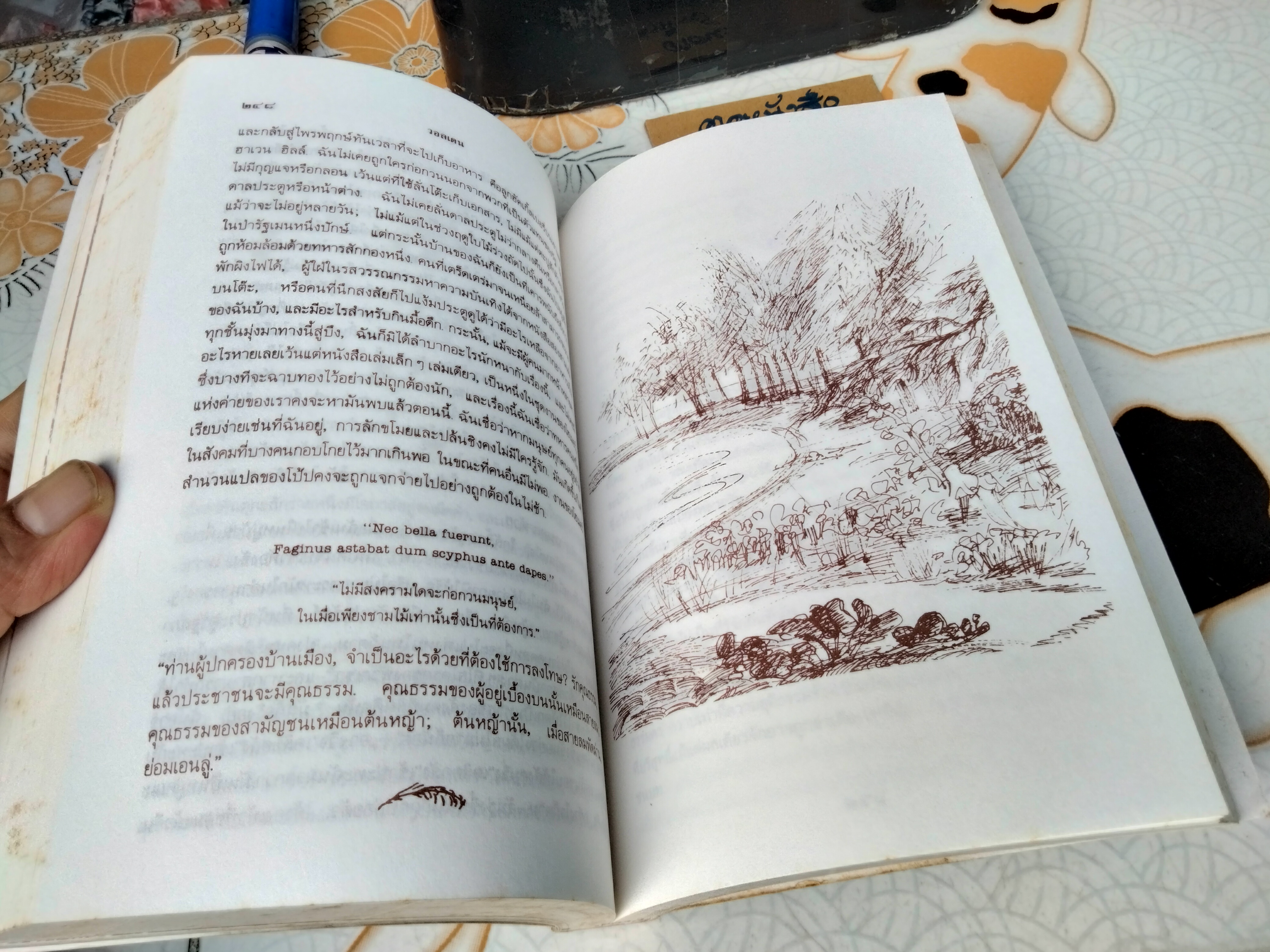 วอลเดน Walden (ปกอ่อน) Henry David Thoreau (เฮนรี่ เดวิด ธอโร) เขียน สุริยฉัตร ชัยมงคล แปล **สินค้าหมด**