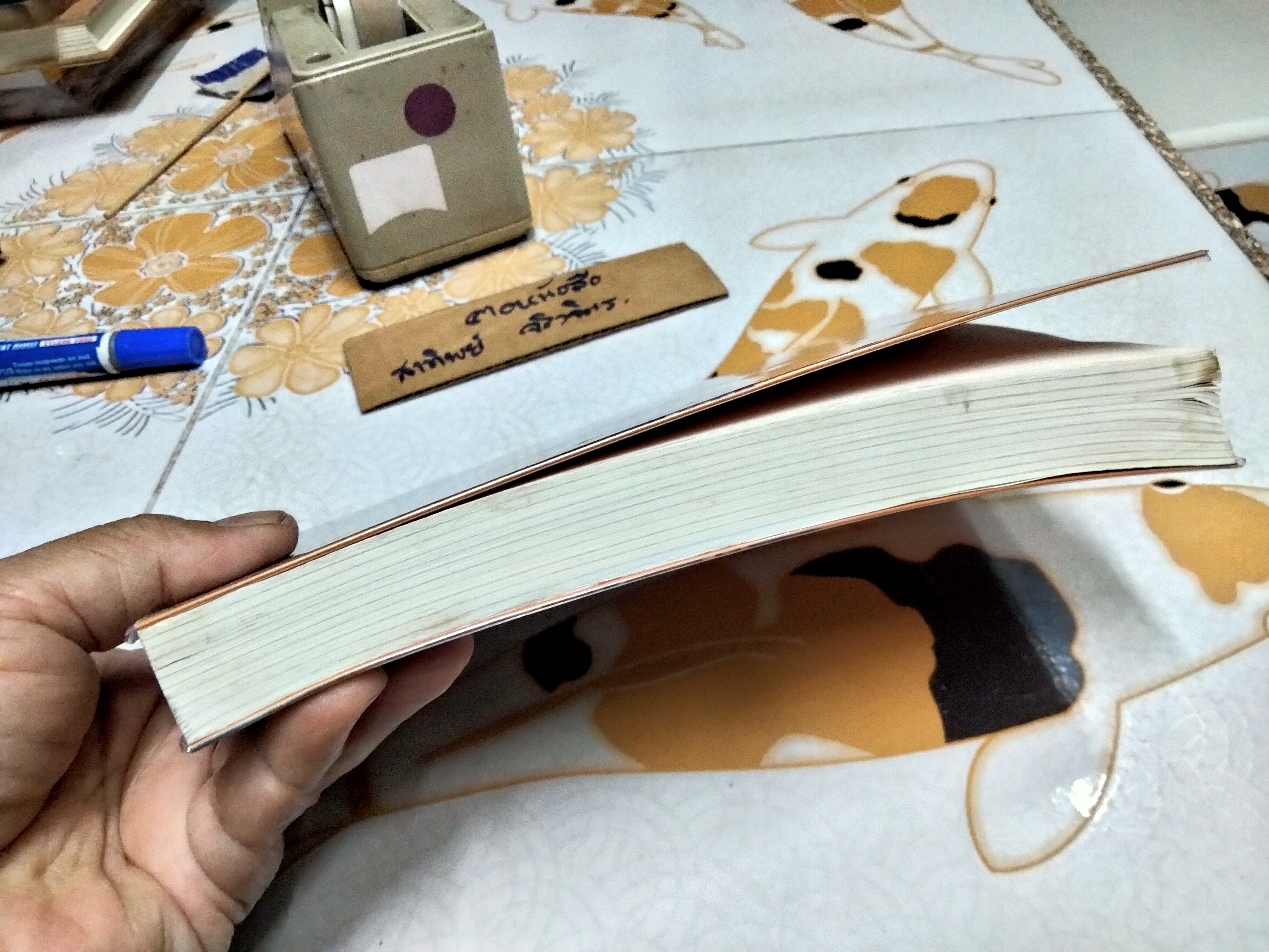 เธอคือใคร ที่ลากฉันไป Who Are You Who is Dragging Me? ผู้เขียน Ock Soo Park (อ็อก ซู พาร์ค) ผู้แปล ปพิชญา พิมพ์ครั้งที่ 3/2560