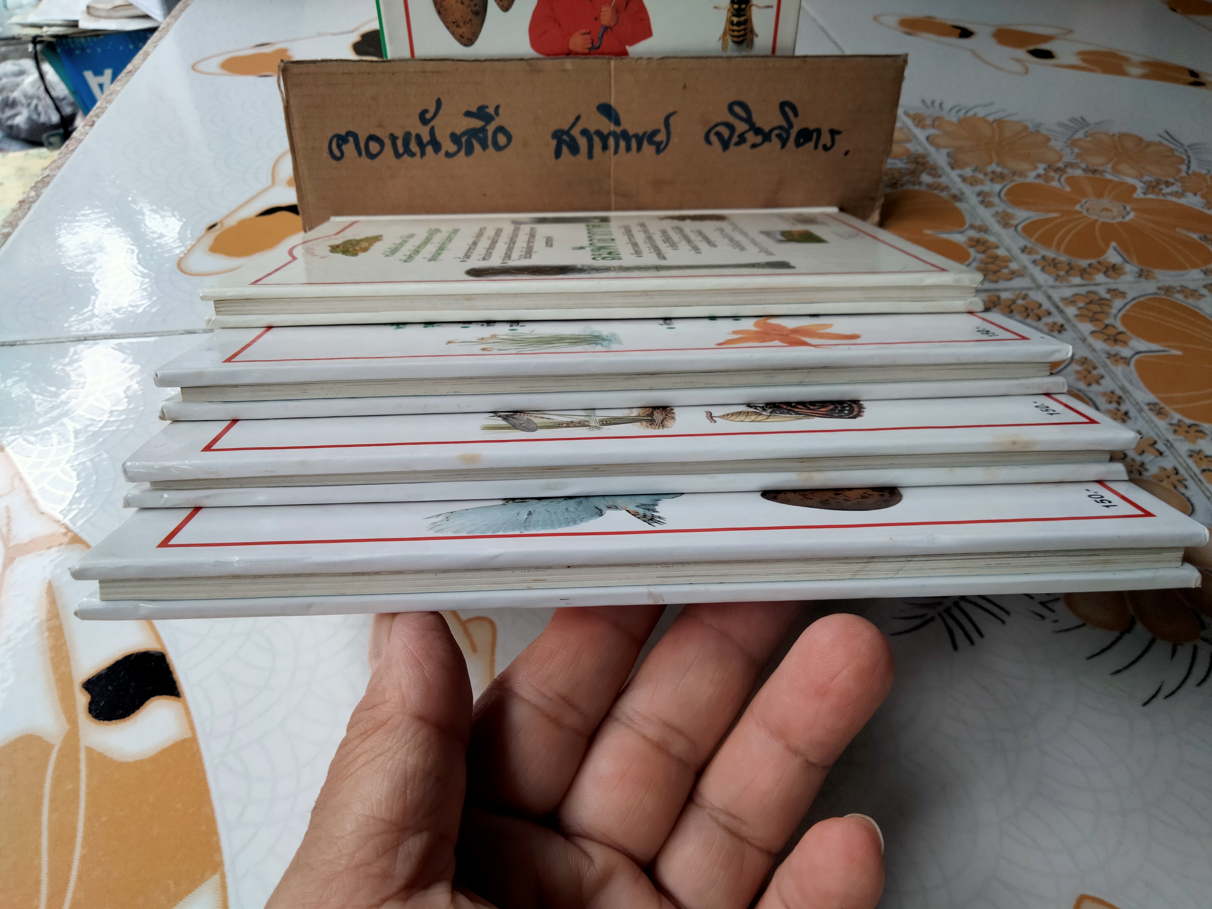 หนังสือชุดนักสำรวจน้อย-ลมฟ้าอากาศ, ดอกไม้, แมลง ,นก (Boxset) **สินค้าหมด**