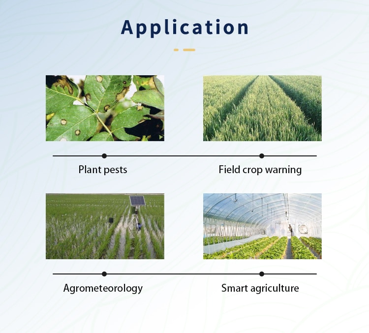 เซนเซอร์วัดใบพืช Leaf Wetness Sensor RS485