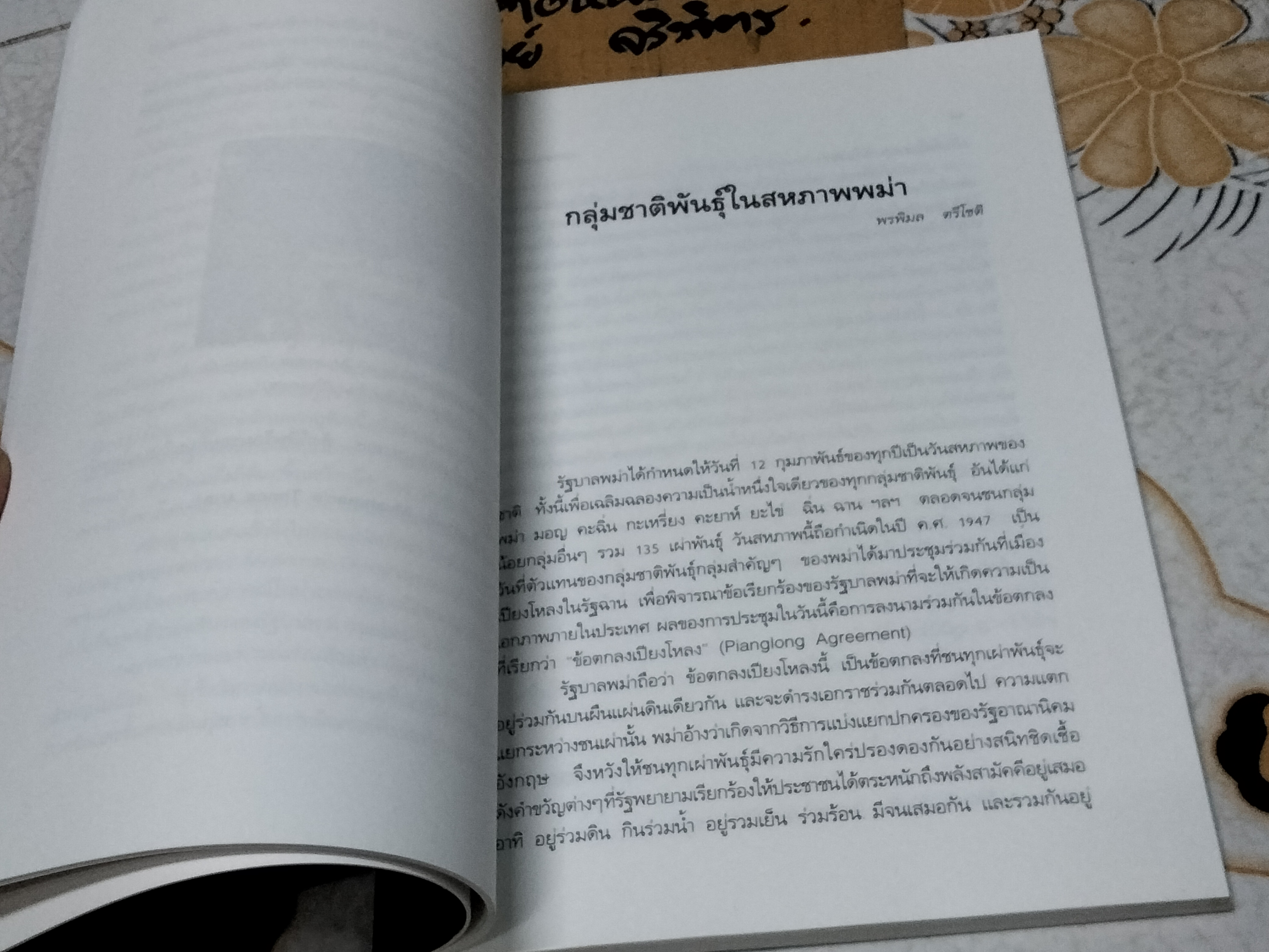 หลายคนยลพม่า Viewing Myanmar วิภา อุดมฉันท์ บรรณาธิการ **สินค้าหมด**