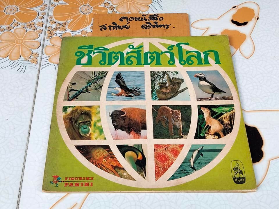สมุดสะสมสติกเกอร์ ชีวิตสัตว์โลก (แปะไป 66 รูป/ 240 รูป)