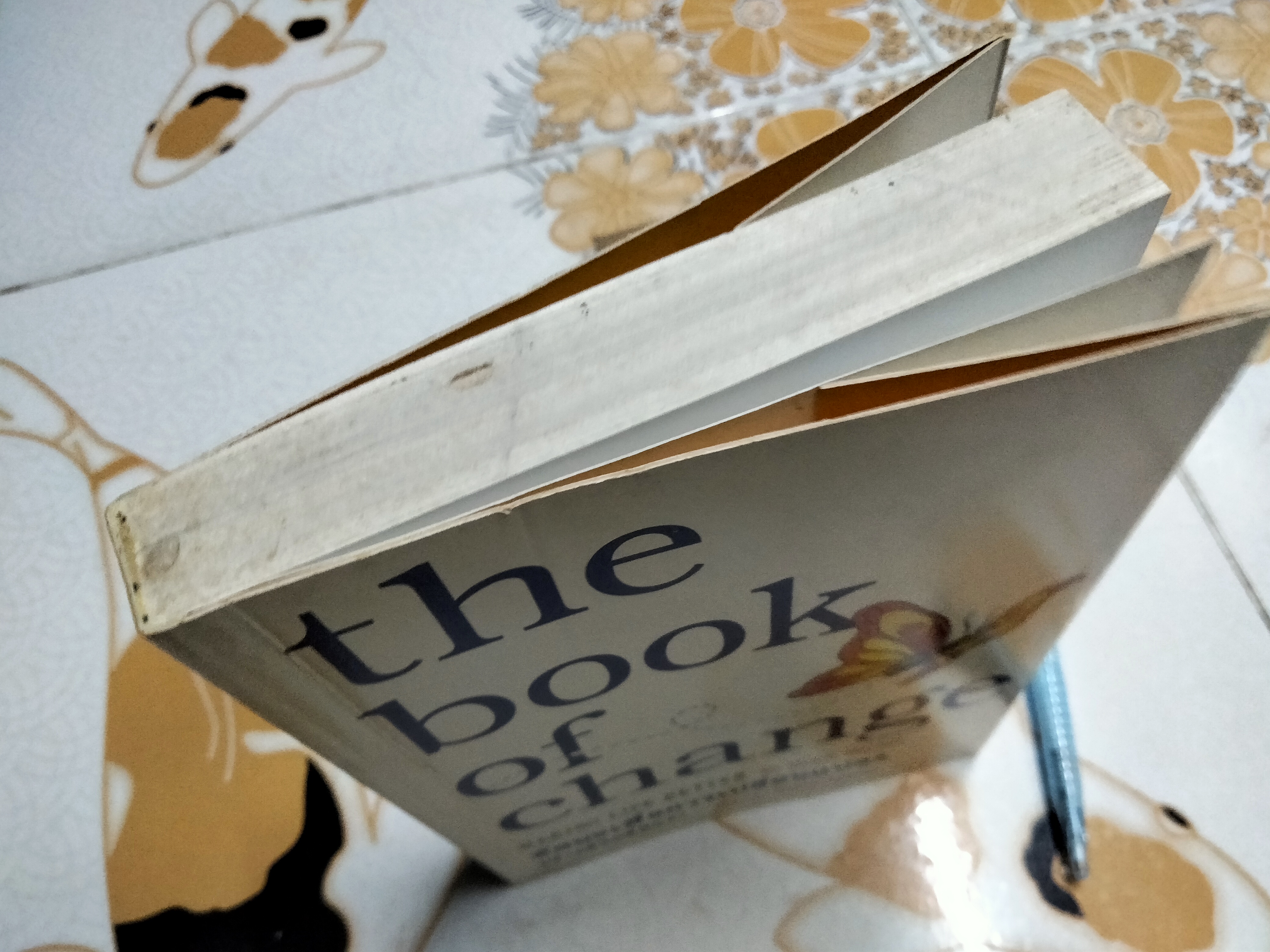 ทัศนะเพื่อการเปลี่ยนแปลงสร้างชีวิตที่ดีกว่า (The Book of Change Making Life Better) Cyndi Haynes เขียน ชมนารถ แปลและเรียบเรียง