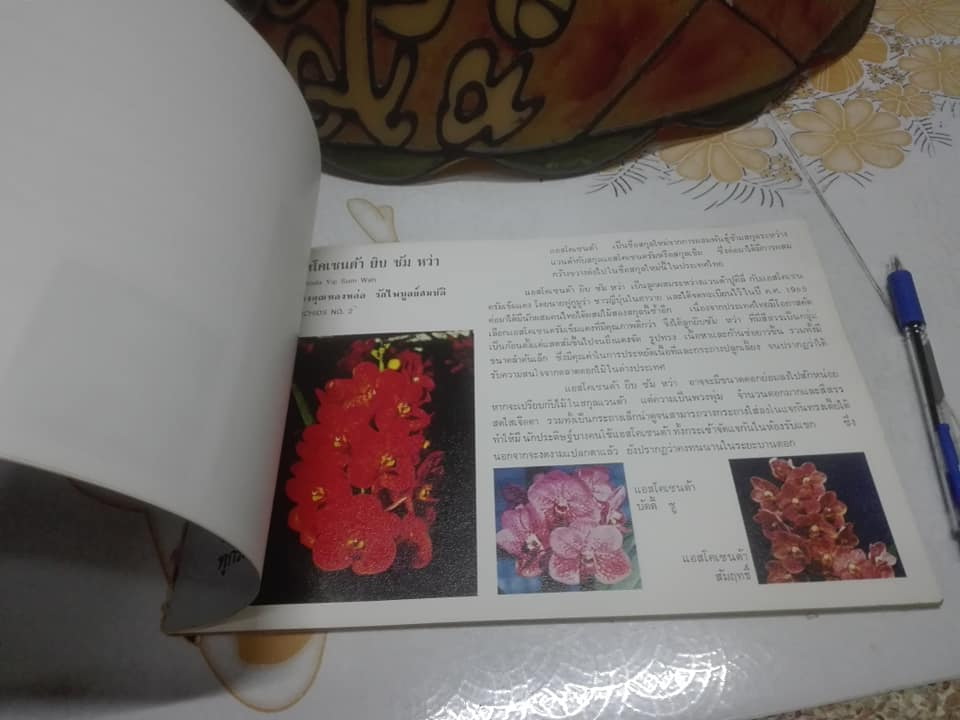 อนุทินกล้วยไม้ คู่มือนักเลี้ยงกล้วยไม้ทุกระดับ