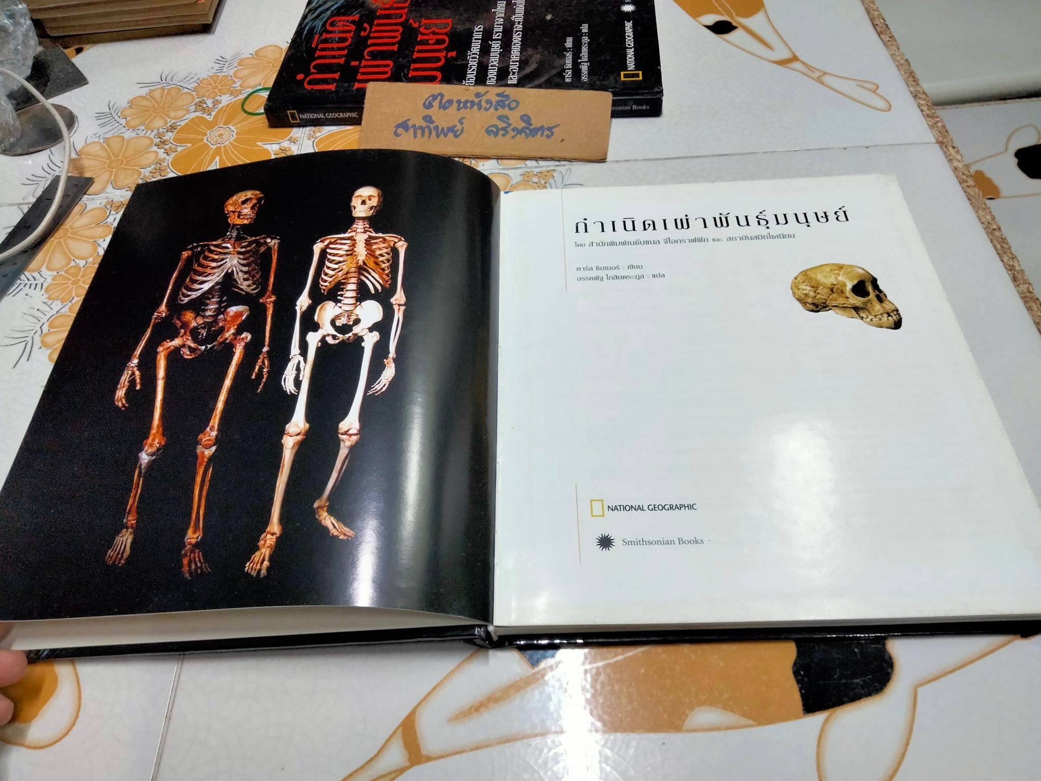 กำเนิดเผ่าพันธุ์มนุษย์ คาร์ล ซิมเมอร์ เขียน - อรรคพัฐโกสิยตระกูล แปล (NATIONAL GEOGRAPHY ปกแข็ง) **สินค้าหมด**