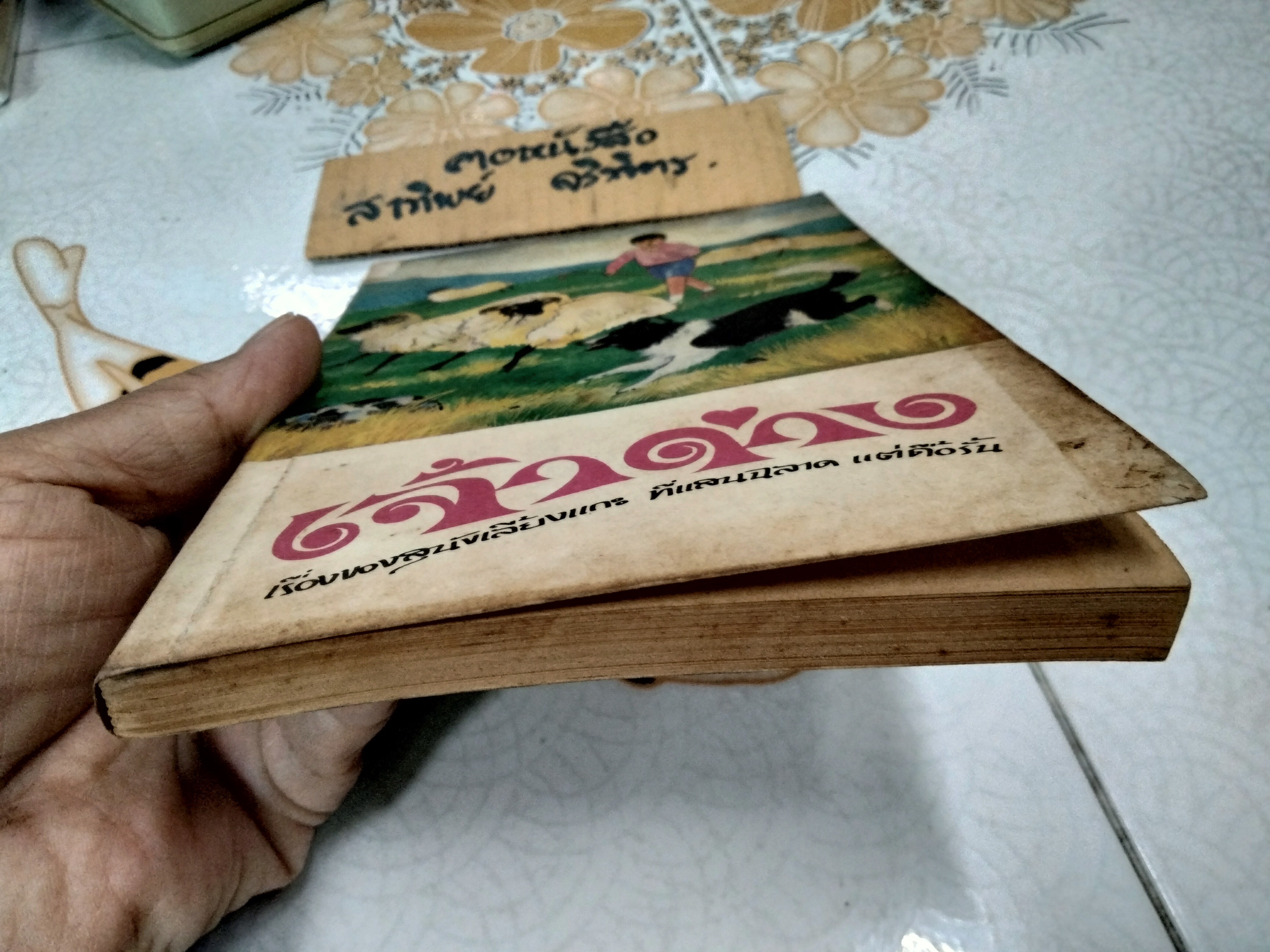เจ้าด่าง - หนังสืออ่านสำหรับเยาวชนตามโครงการหนังสือเด็กของกองบรรณาธิการชัยพฤกษ์ ชุดที่ 6 อันดับ 1 พ.ศ 2520