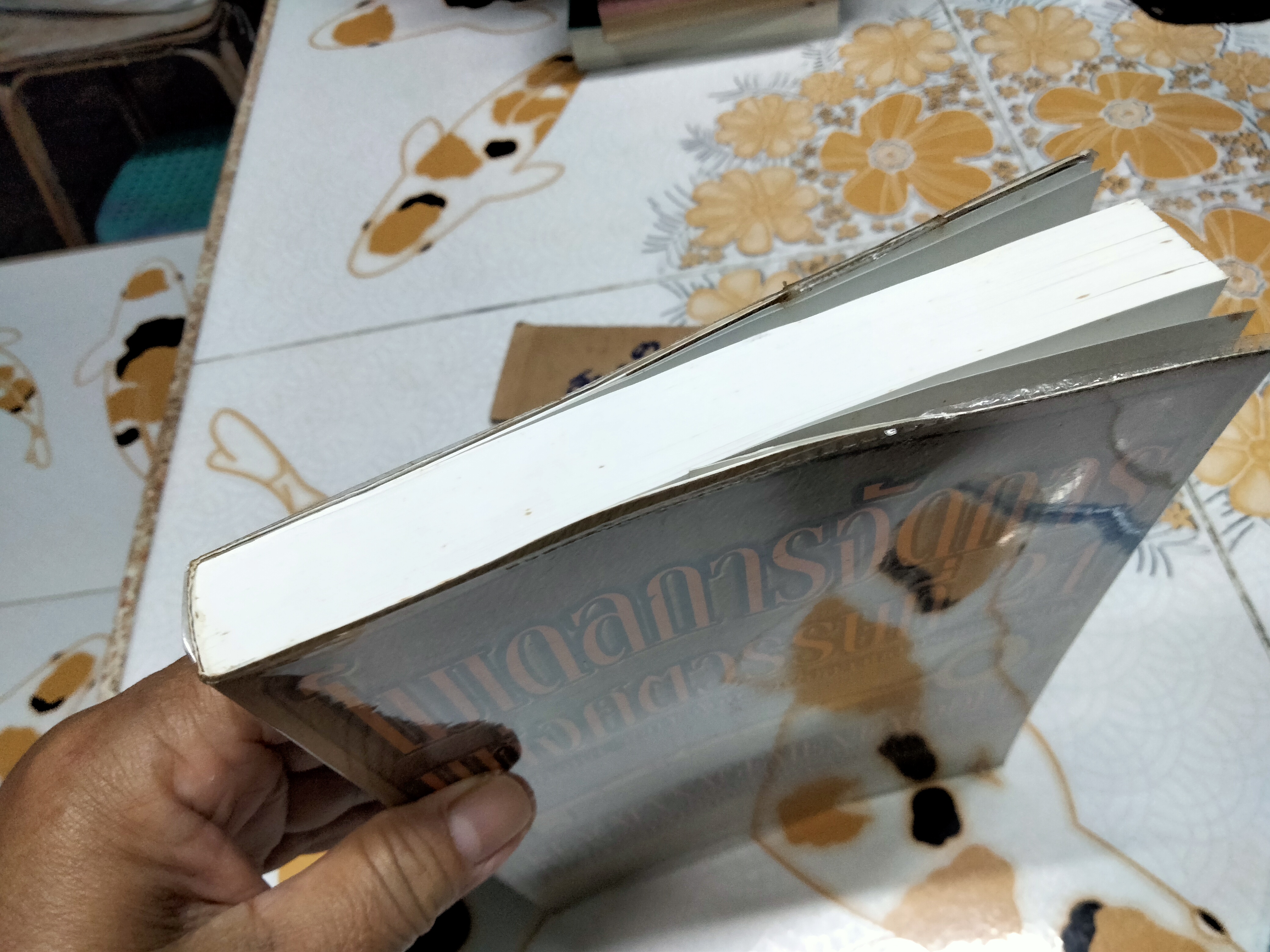 โมเดลการจัดการแห่งศตวรรษที่ 21 (Key Management Model) โดย สตีเวน เทน แฮฟ, อนุวัฒน์ ทรัพย์พืชผล แปล