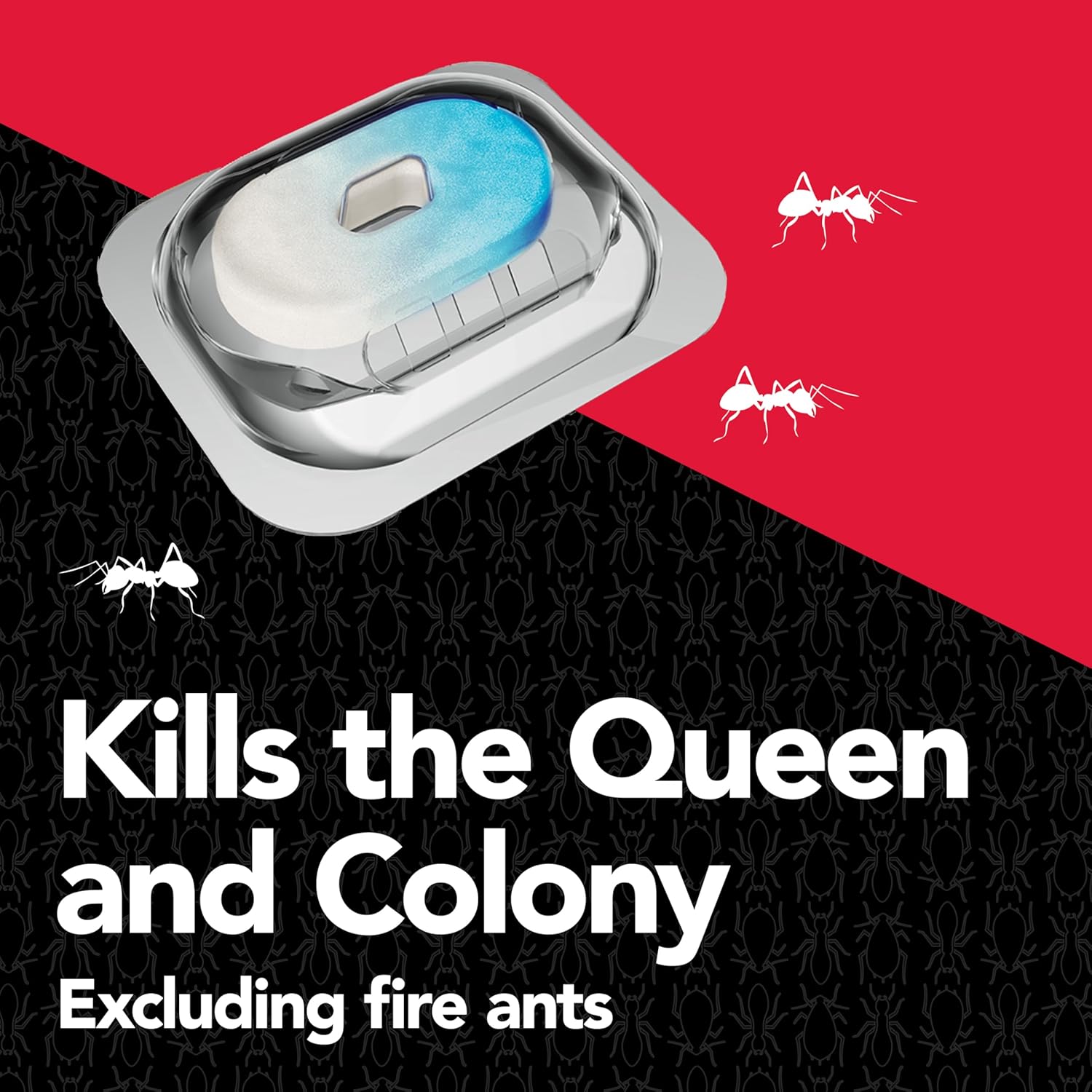 Raid® Max Liquid Ant Bait Kills the Queen and Colony ผลิตภัณฑ์กำจัดมด