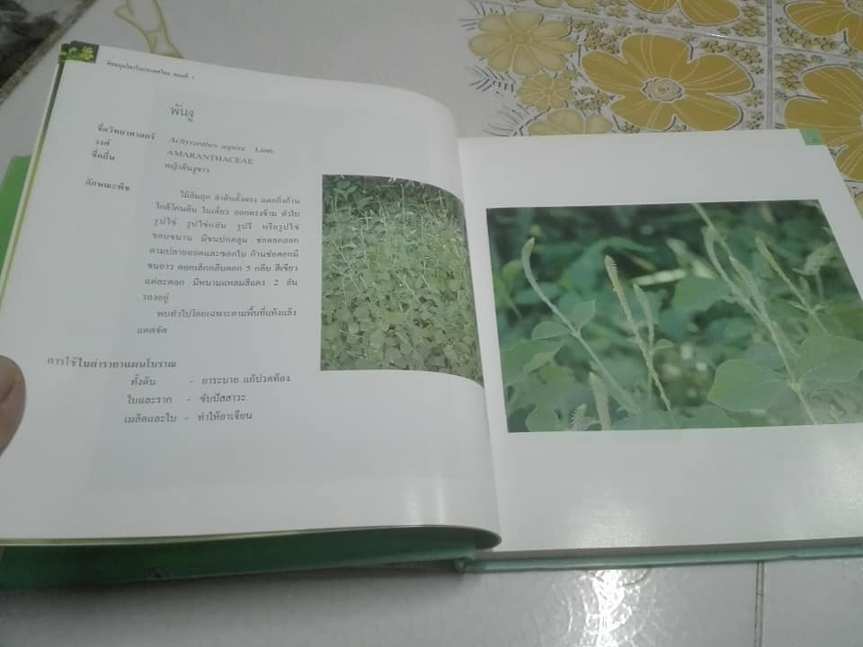 พืชสมุนไพรในประเทศไทย ตอนที่ 1 (ปกแข็ง-มีใบหุ้มปก) **สินค้าหมด**