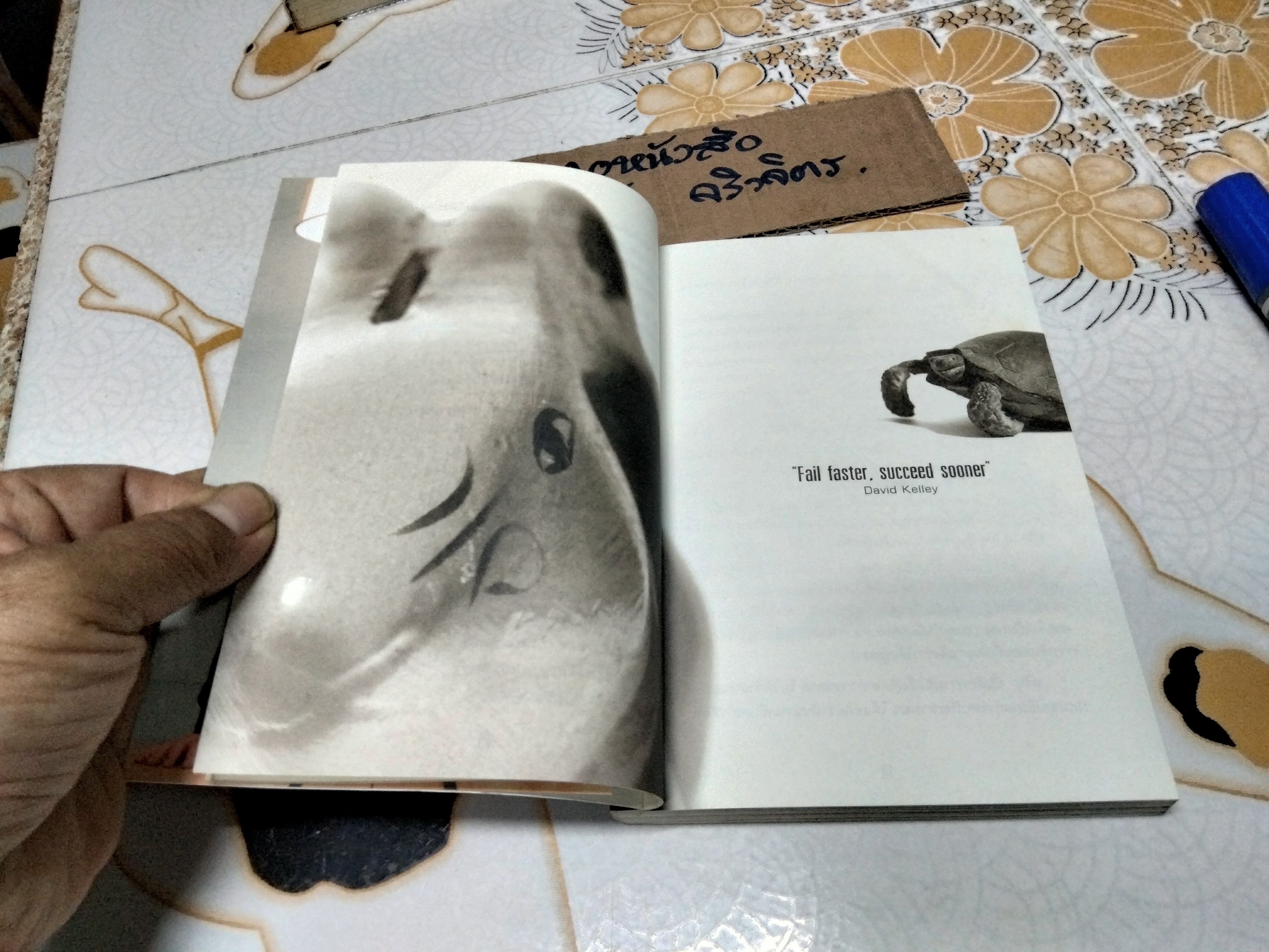 My life as a coach - ซิคเว่ เบรคเก้ , มัชฌิมา จันทร์สว่างภูวนะ เรียบเรียง