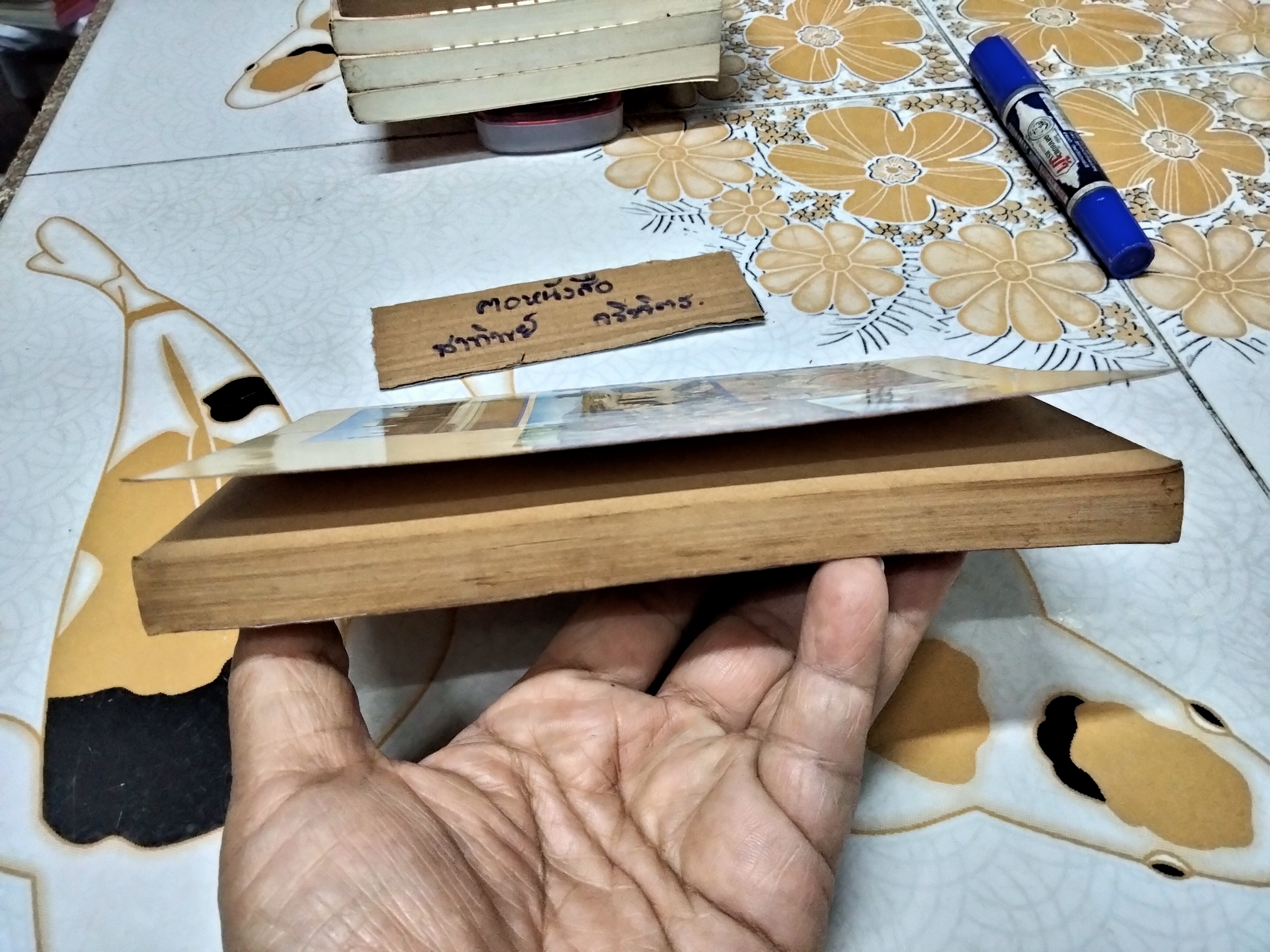 ตามเสด็จปากีสถาน โดย หม่อมเจ้าวิภาวดีรังสิต