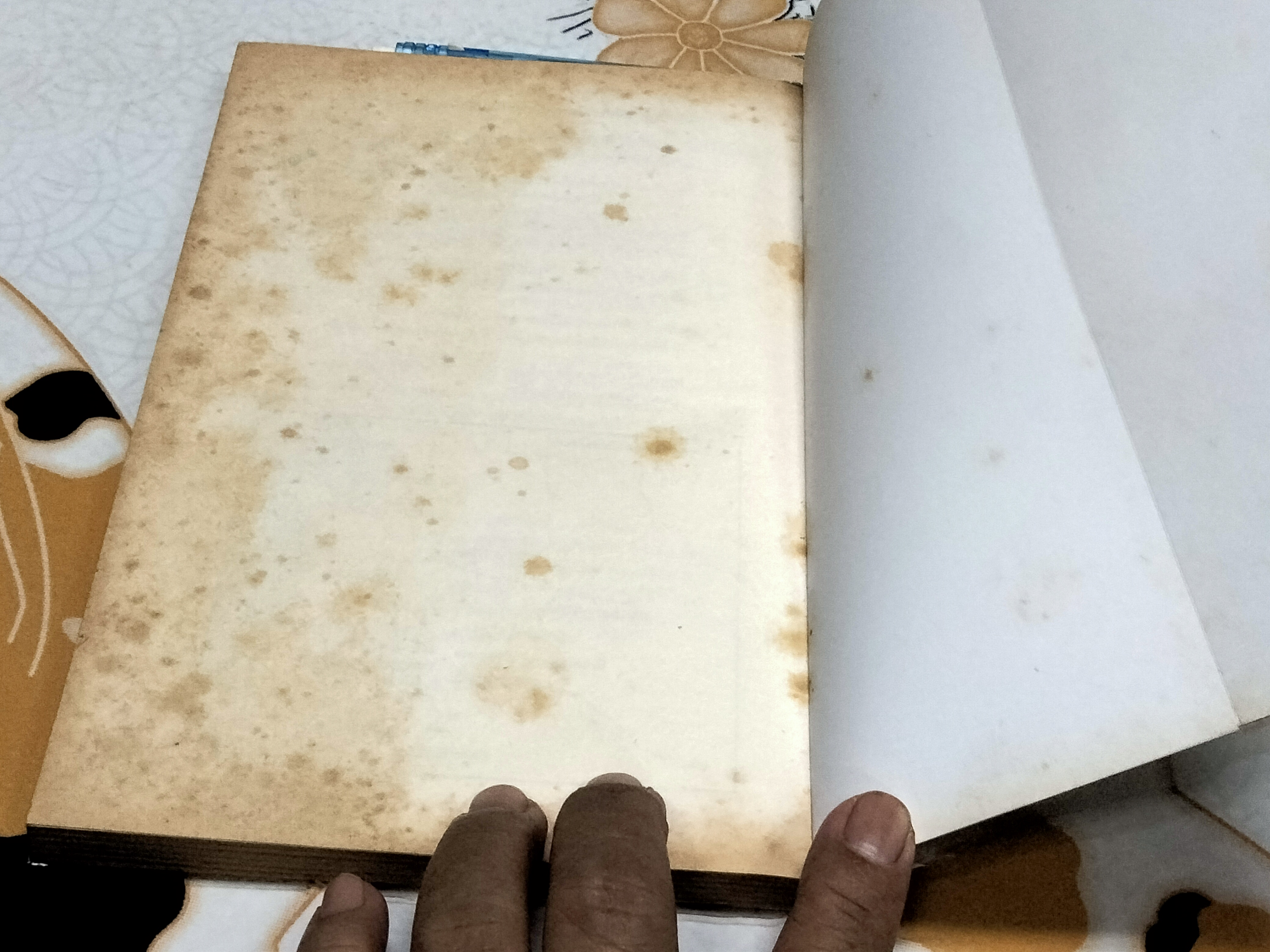 สามก๊ก - จินตกวีนิพนธ์ฉบับกระเป๋า (ลายเส้นการ์ตูน)