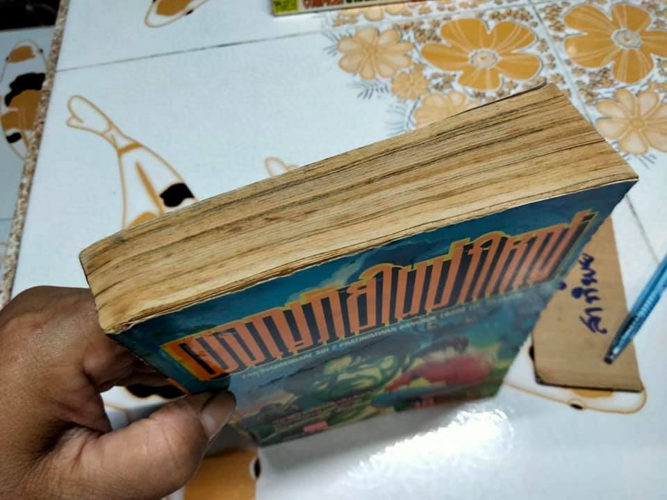 ผจญภัยในป่าใหญ่ (เล่มเดียวจบ)