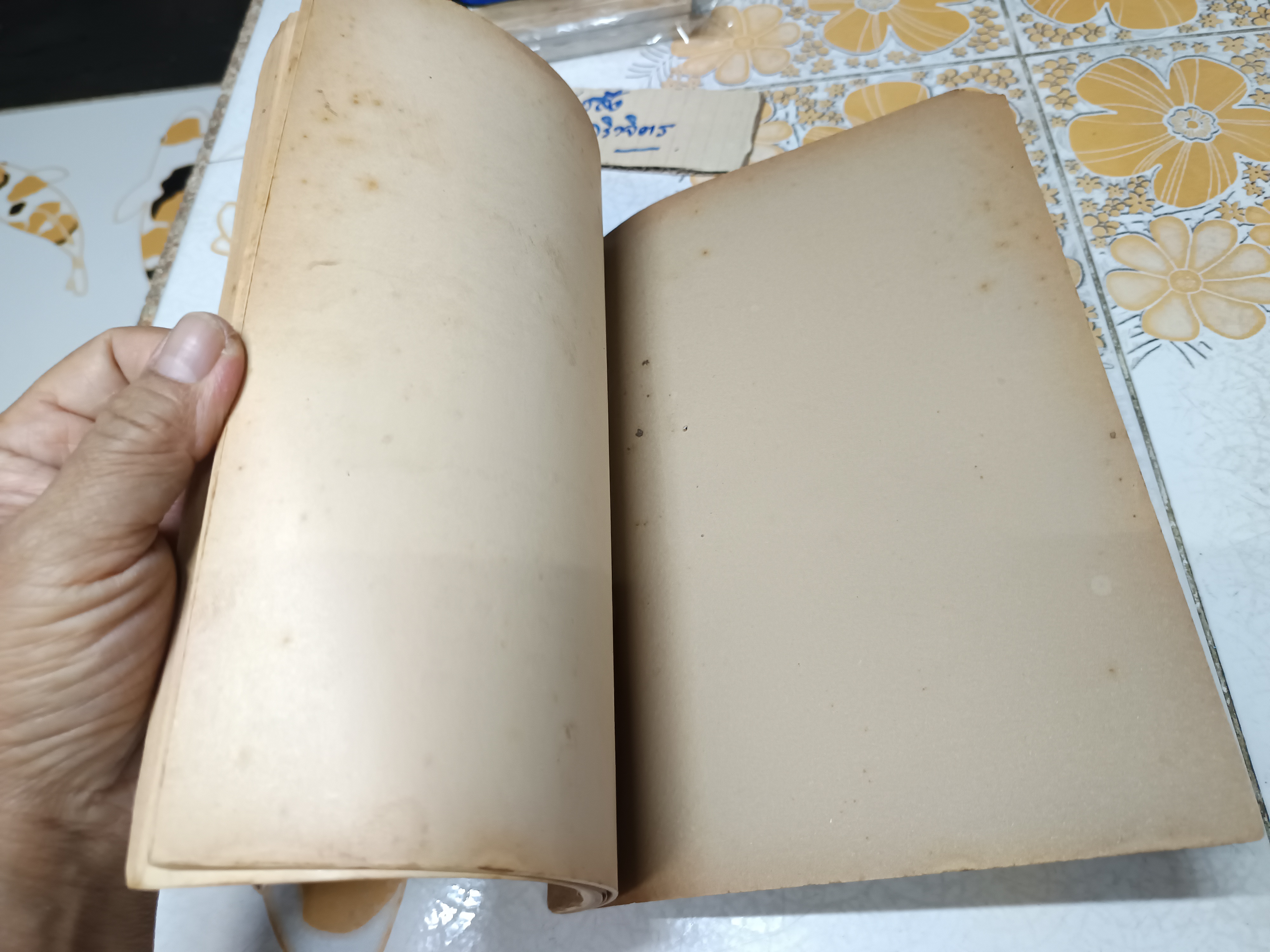 คำสอนชั้นปริญญาโท ทางรัฐศาสตร์พุทธศักราช 2478 กฎหมายปกครองพิสดาร โดย หลวงประพันธ์ ไพรัชชพากย์