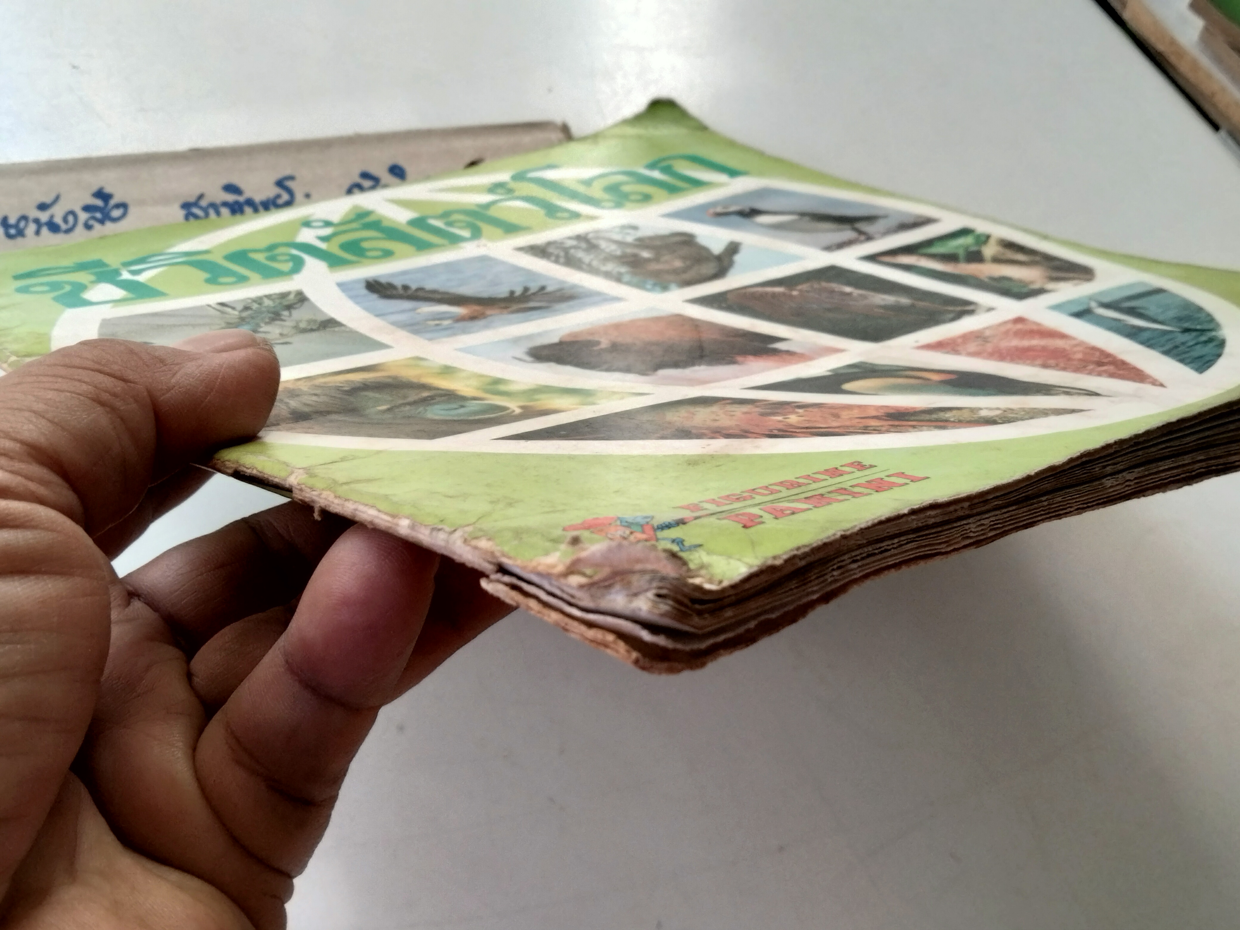 สมุดสะสมสติกเกอร์ ชีวิตสัตว์โลก (แปะครบ 240 รูป) หนังสือมือสอง สภาพพอใช้ **สินค้าหมด**