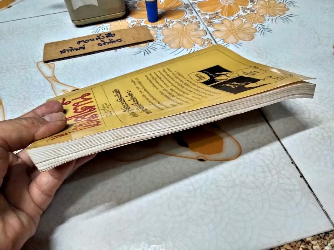 ไอน์สไตน์ฉบับการ์ตูน (Einstein For Beginners) ผลงานของ โจเซฟ ชวร์าซ วาดภาพโดย ไมเคิล แมคกินเนส