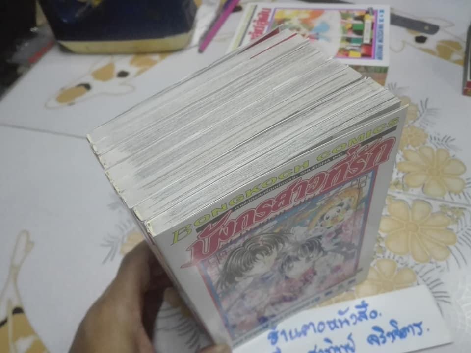 มังกรสาวที่รัก ( 8 เล่มจบ ) - NATSUMI MATSUMOTO **สินค้าหมด**