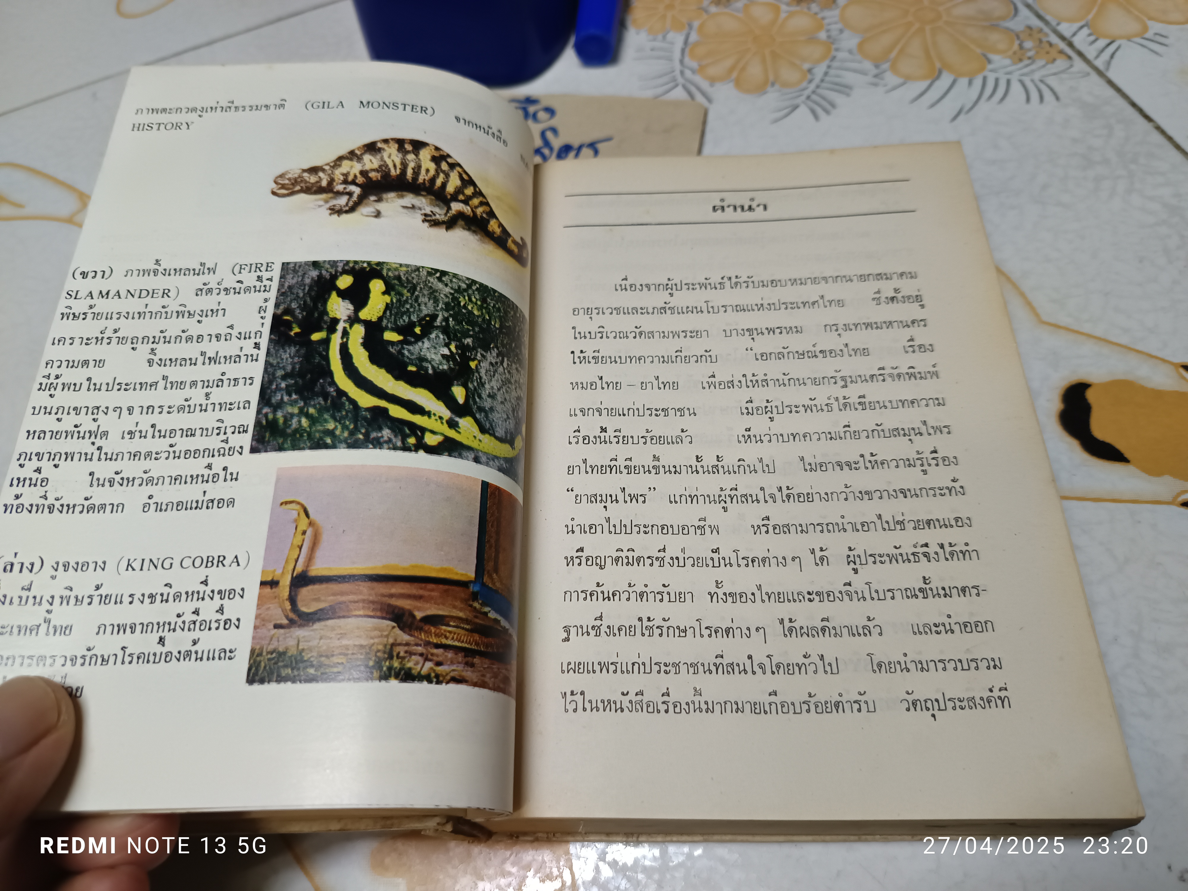 หลักการใช้ยาสมุนไพรรักษาโรคต่างๆ โดย พ.ต.อ.ชลอ อุทกภาชน์ พิมพ์ปี 2523 สำนักพิมพ์แพร่พิทยา **สินค้าหมด**