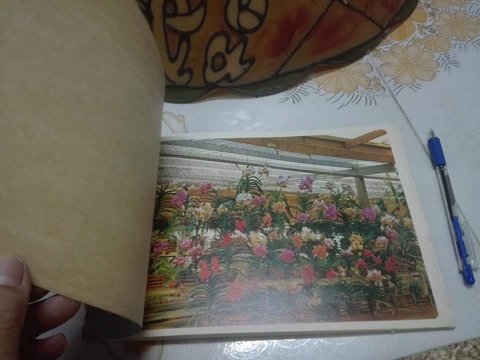 อนุทินกล้วยไม้ คู่มือนักเลี้ยงกล้วยไม้ทุกระดับ