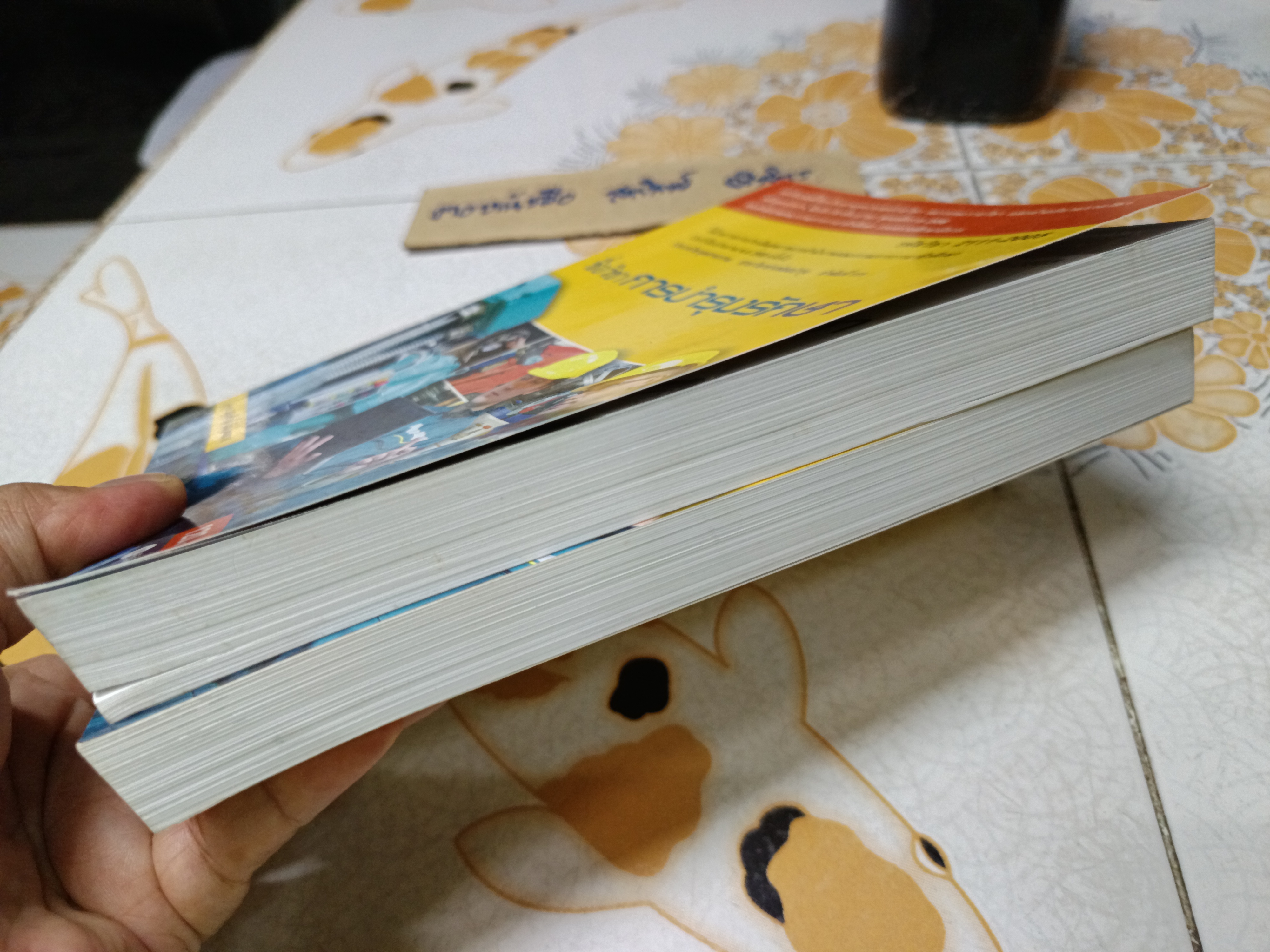 การบำรุงรักษา (รหัสวิชา 2111-2005) - อนุศักดิ์ ฉิ่นไพศาล **มีตราประทับอภินันทนาการ