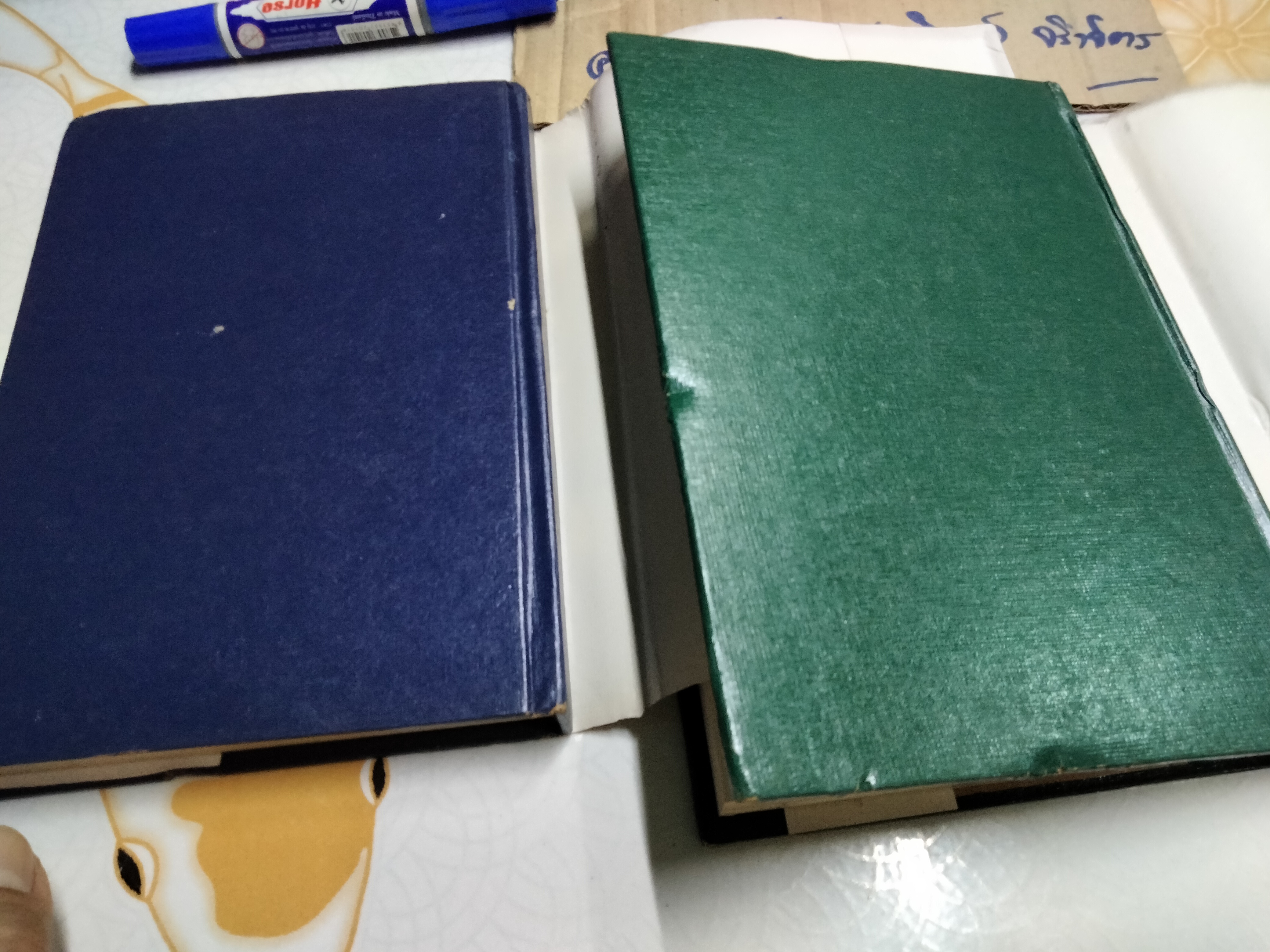 แผ่นดินนี้ยังรื่นรมย์ (2 เล่มจบ) - สีฟ้า **สินค้าหมด**