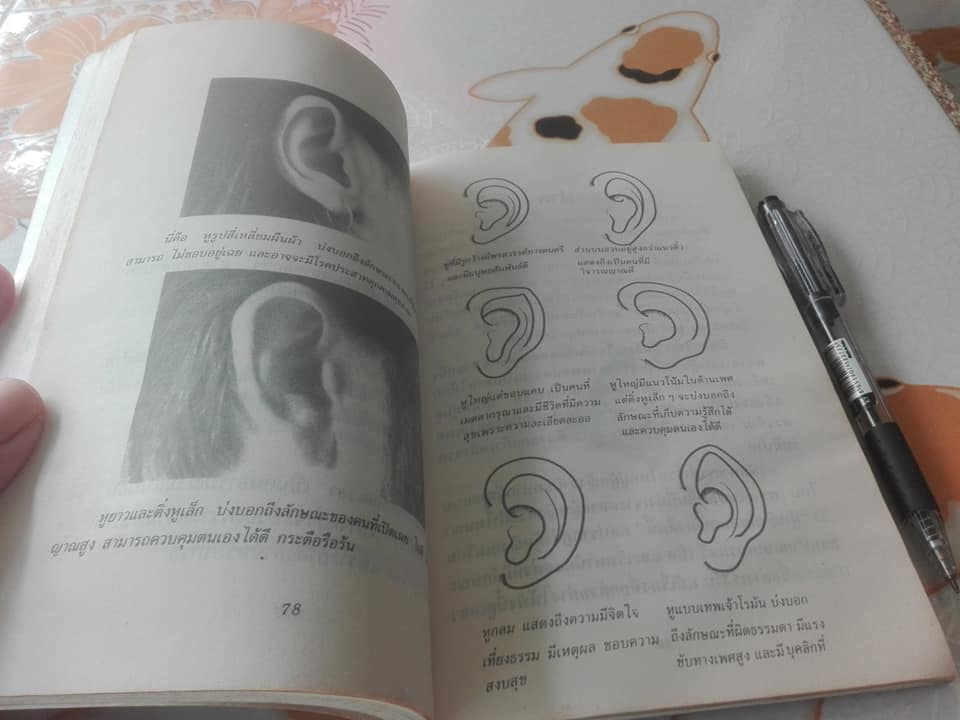 วิเคราะห์นิสัยจากใบหน้า - หลี่เถา ,, อัญญเวทย์ แปลและเรียบเรียง **สินค้าหมด**