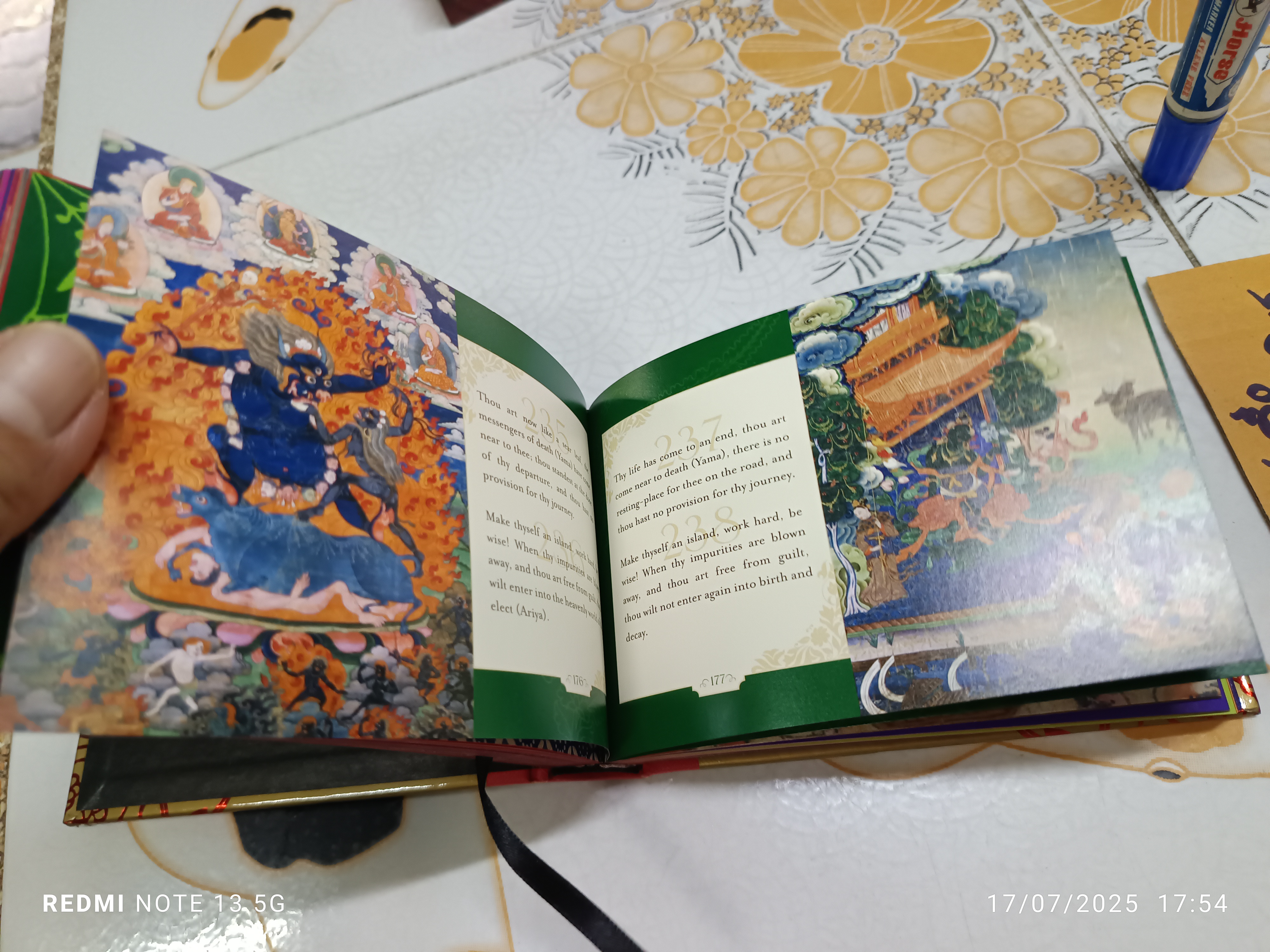 The Way of the Buddha (Hard Cover) The Illustrated Dhammapada, 2008 / The Rubin Museum of Art