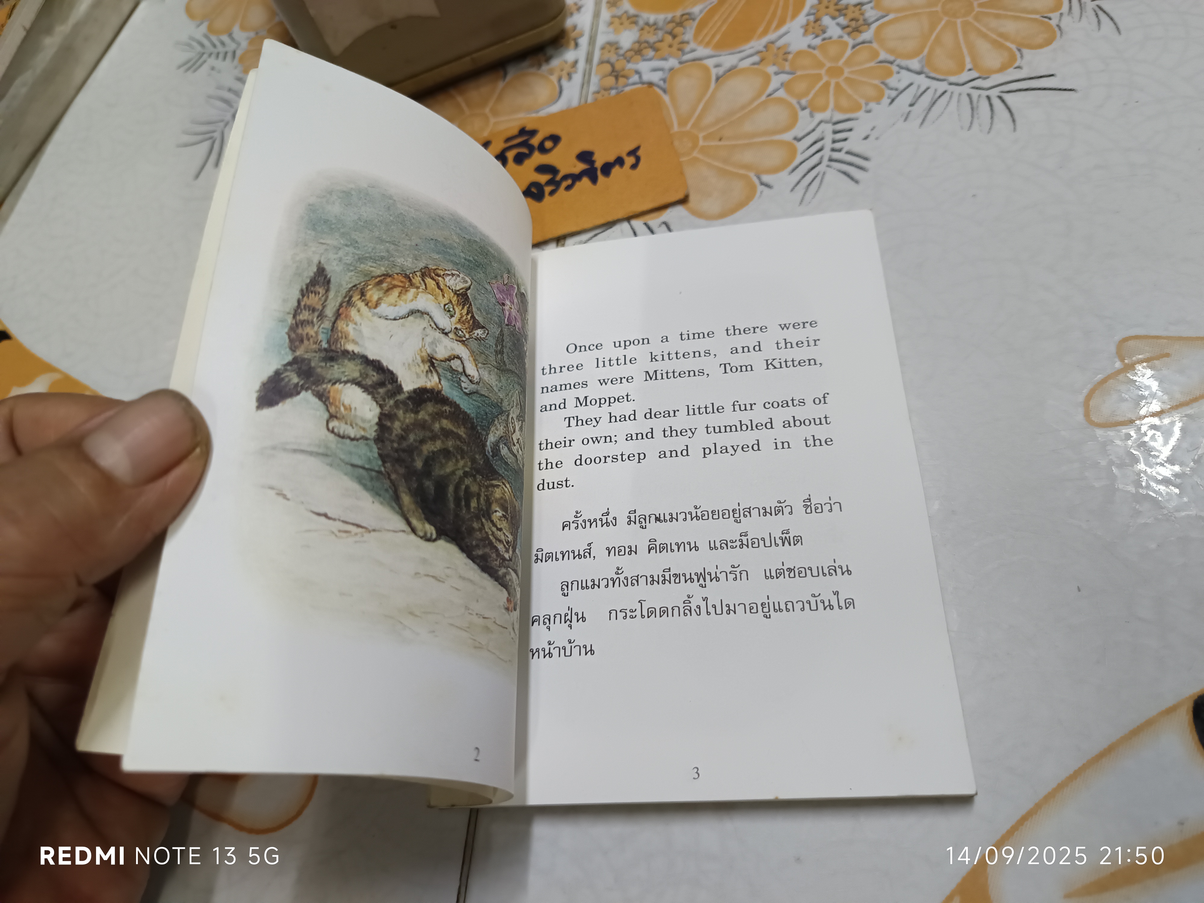 ลูกแมวน้อย ทอม คิตเทน THE TALE OF TOM KITTEN เล่มเล็ก อภินันทนาการจากการบินไทย