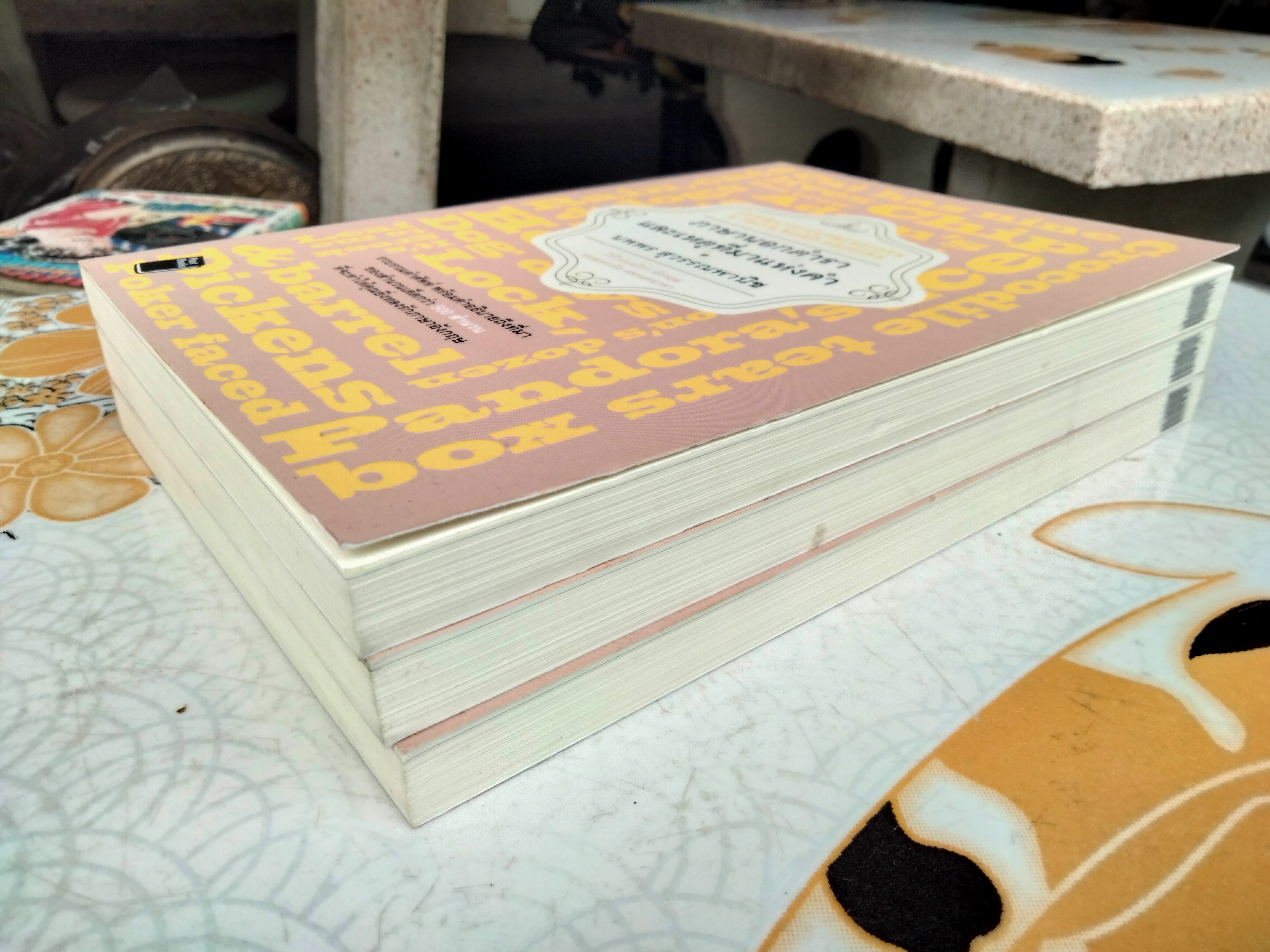 ภาษานอกตำราและเหตุที่มาแห่งคำ - นพพร สุวรรณพานิช