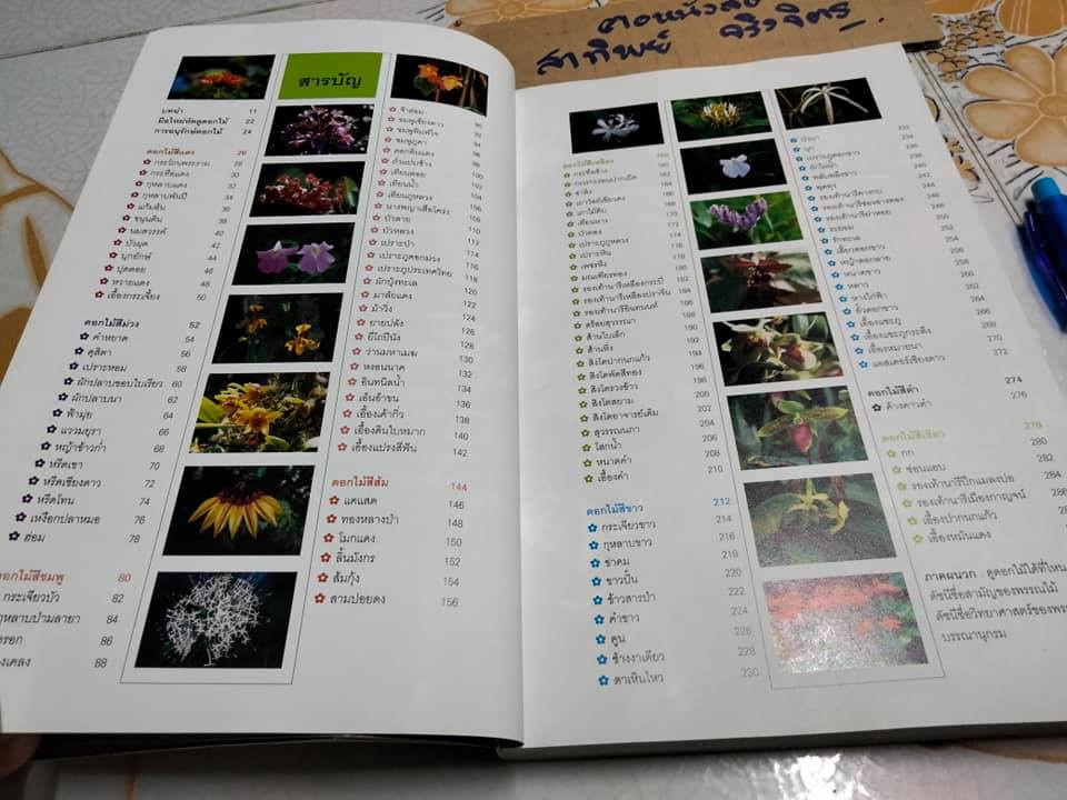 มหัศจรรย์ดอกไม้ป่า เล่ม 1 - ชาธร สิทธิเคหภาค