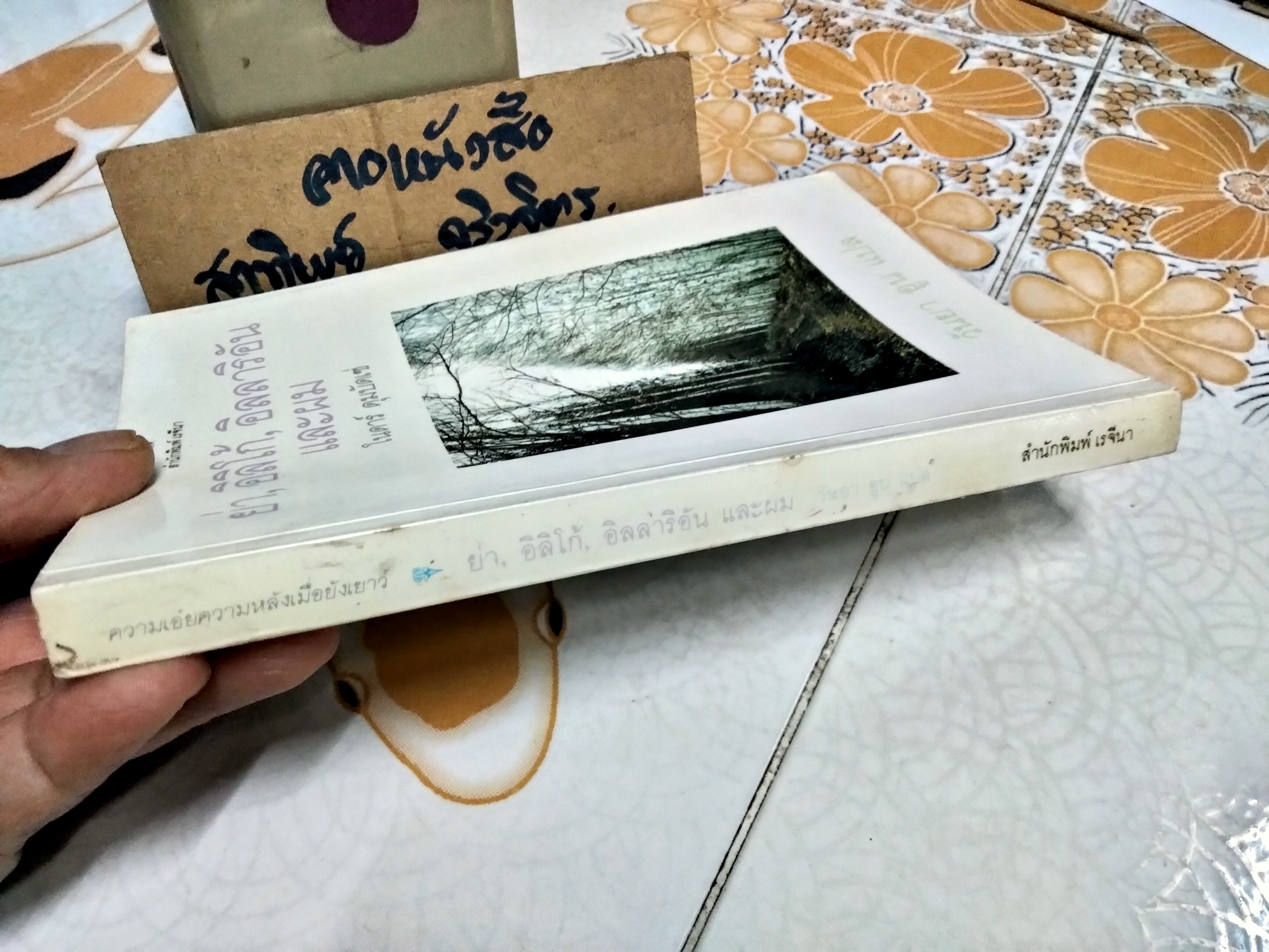 ย่า, อิลิโก้, อิลลาริอัน และผม (Granny, Iliko, Illarion and I) โนดาร์ ดุมบัดเซ่ เขียน วันยา อูน แปล **สินค้าหมด**