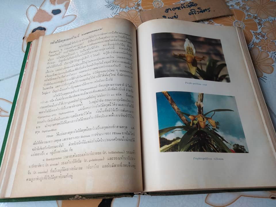 สรุปคำบรรยายการอบรมวิชา หลักการเพาะปลูกกล้วยไม้ ของ สมาคมกล้วยไม้แห่งประเทศไทย