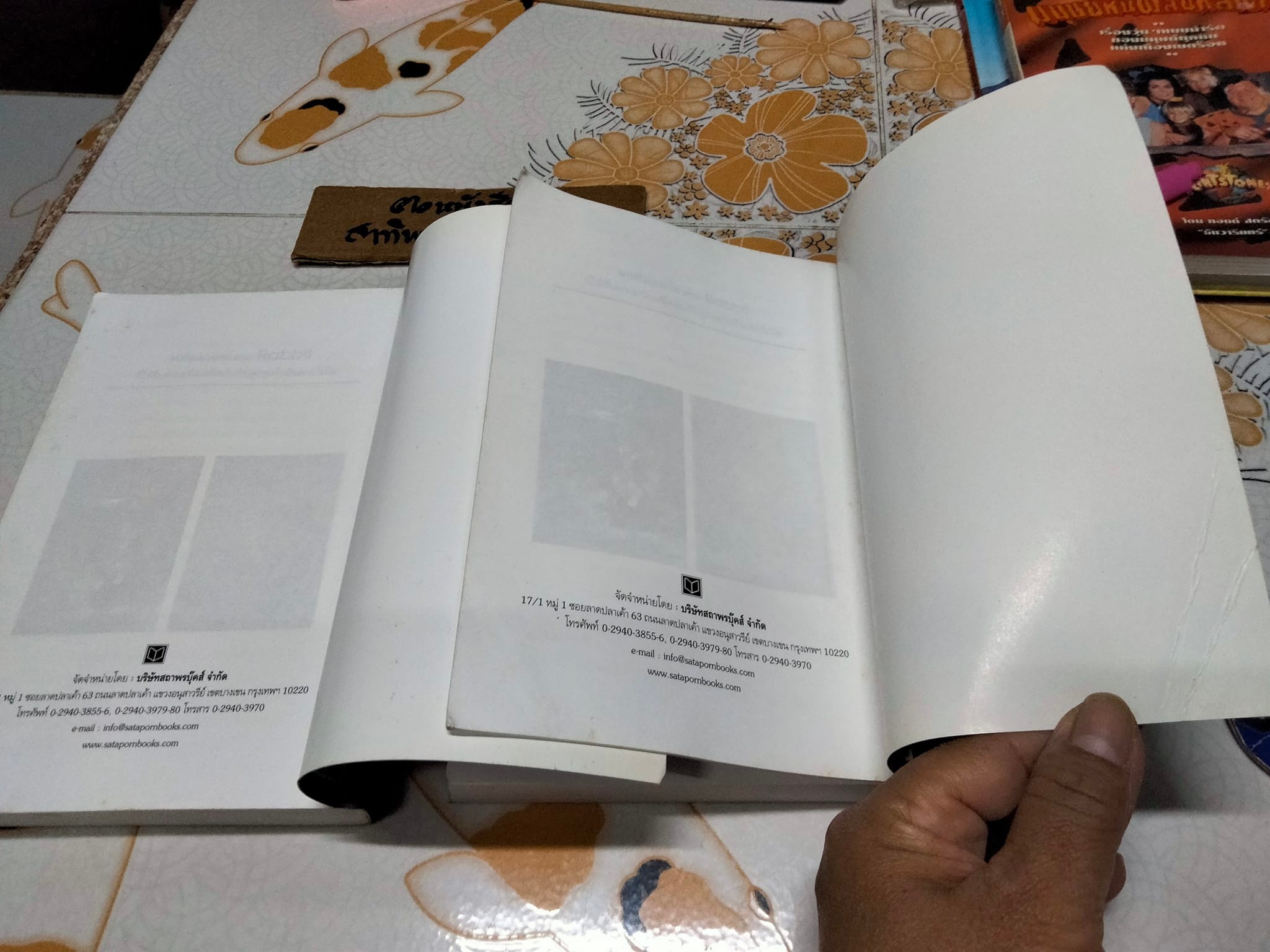 นาคราชา 2 เล่มจบ - Rabbit เขียน **สินค้าหมด**