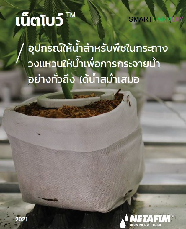 Netbow รุ่น 5 นิ้ว/ 10 นิ้ว