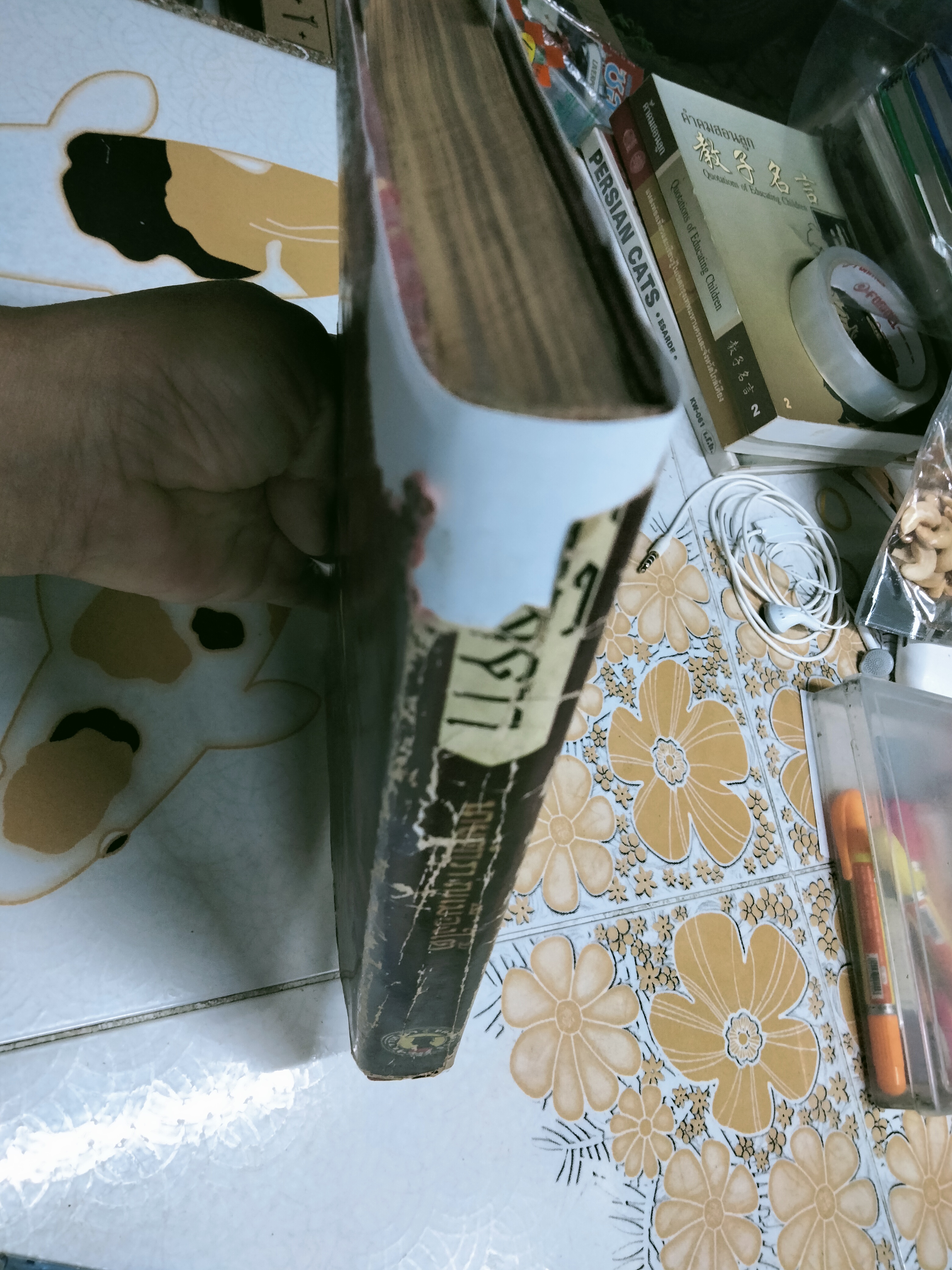 โลลิตา โดย นายตำรา ณ เมืองใต้ ถอดความจากนวนิยายเชิงจิตวิทยา เรื่อง "LOLITA" ของ Vladimir Nabokov **สินค้าหมด**