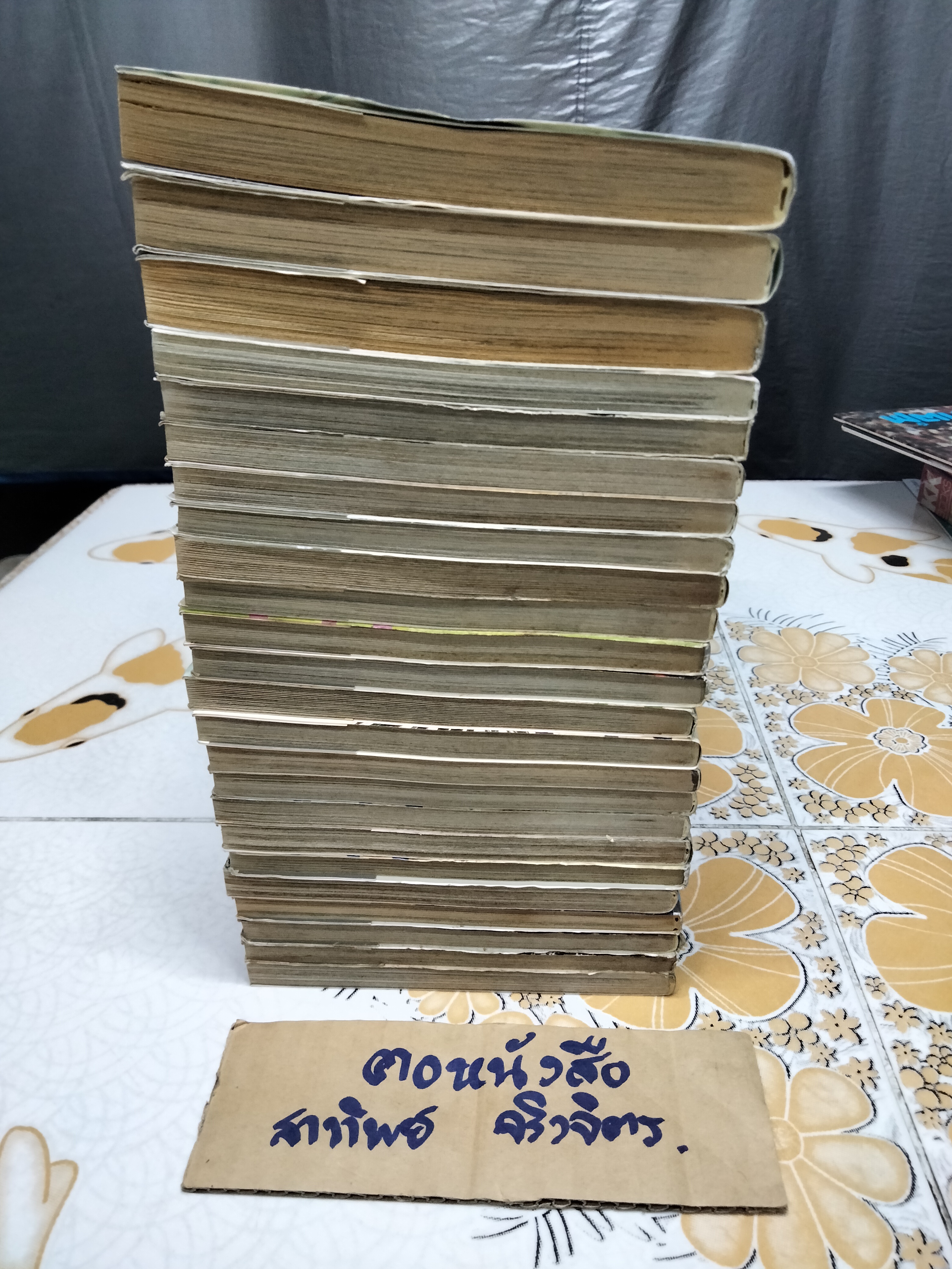 Rookies มือใหม่ไฟแรง (24 เล่มจบ)