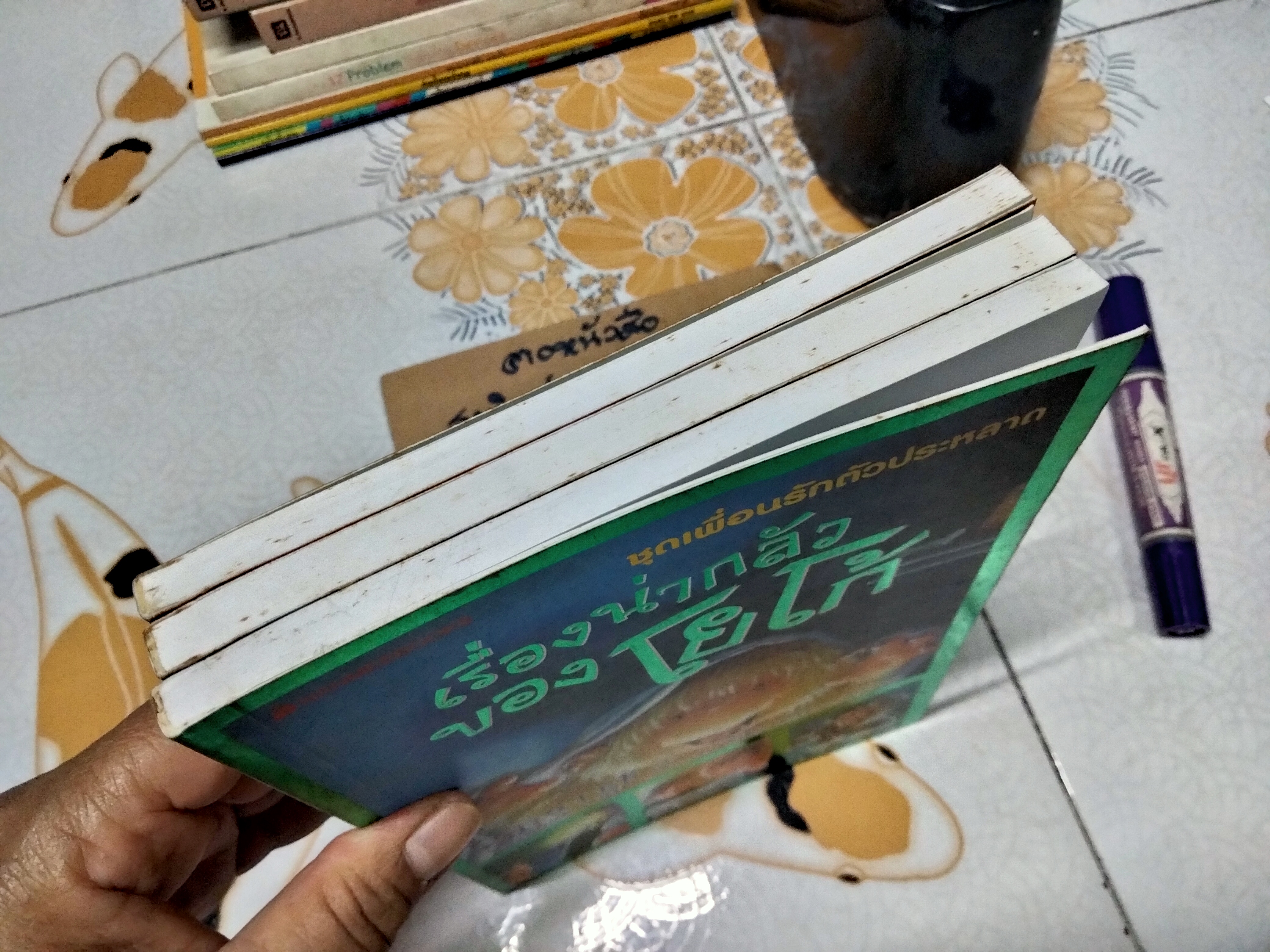 หนังสือชุดเพื่อนรักตัวประหลาด (3 เล่มชุด) - วรรณกรรมเยาวชนจากเยอรมัน , KNISTER เขียน - สุวัฒน์ อดุลย์ฐานานุศักดิ์ แปล