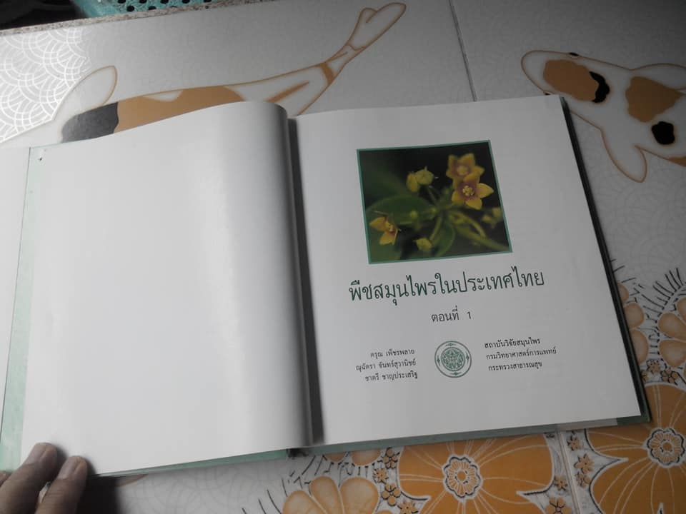 พืชสมุนไพรในประเทศไทย ตอนที่ 1 (ปกแข็ง) **สินค้าหมด**