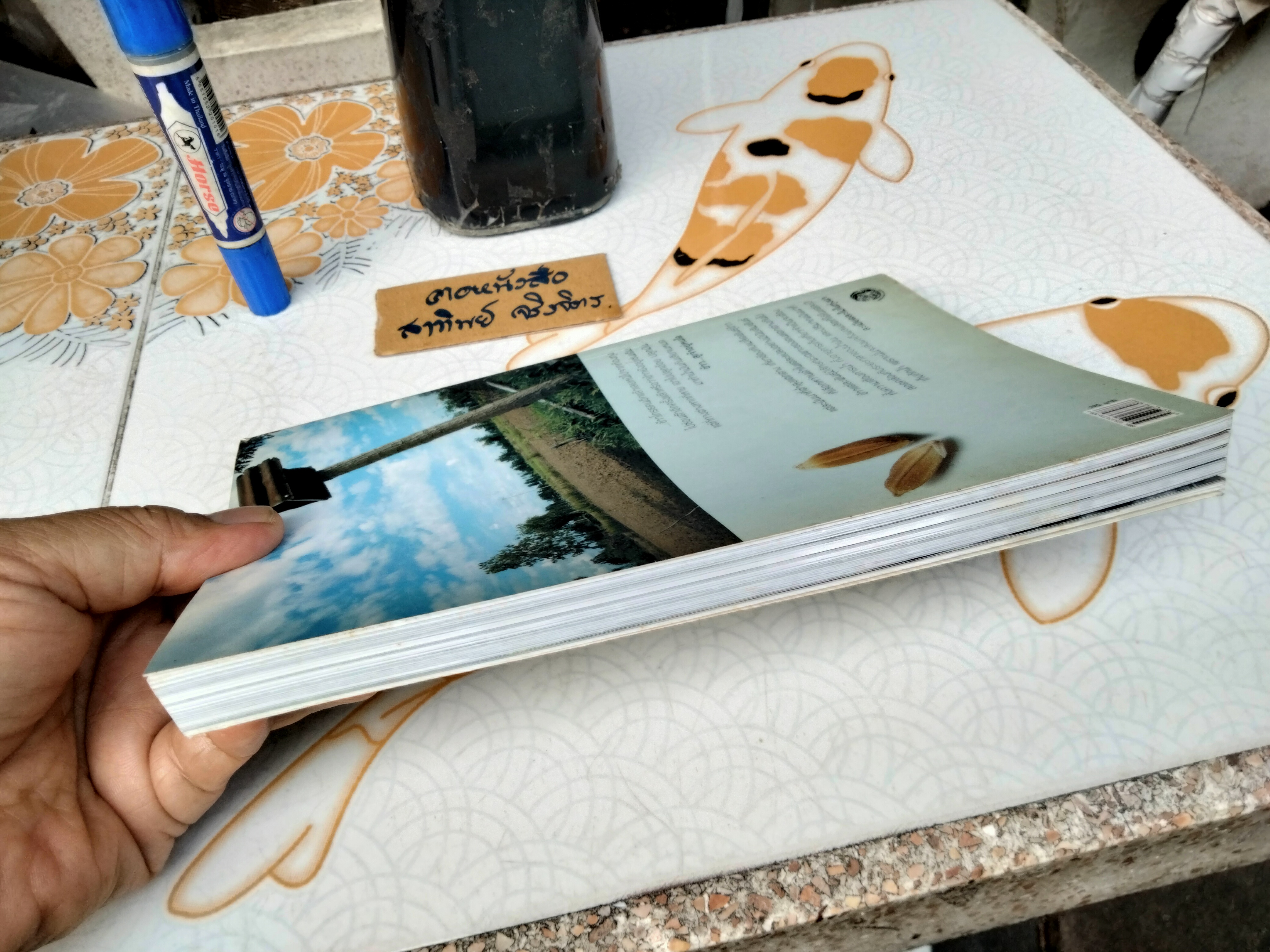 ข้าวบนแผ่นดินกลายเป็นอื่น - เมียงซอ คีรีมัญจา , ปกรณ์ คงสวัสดิ์ - จิตติมา ผลเสวก , บรรณาธิการ