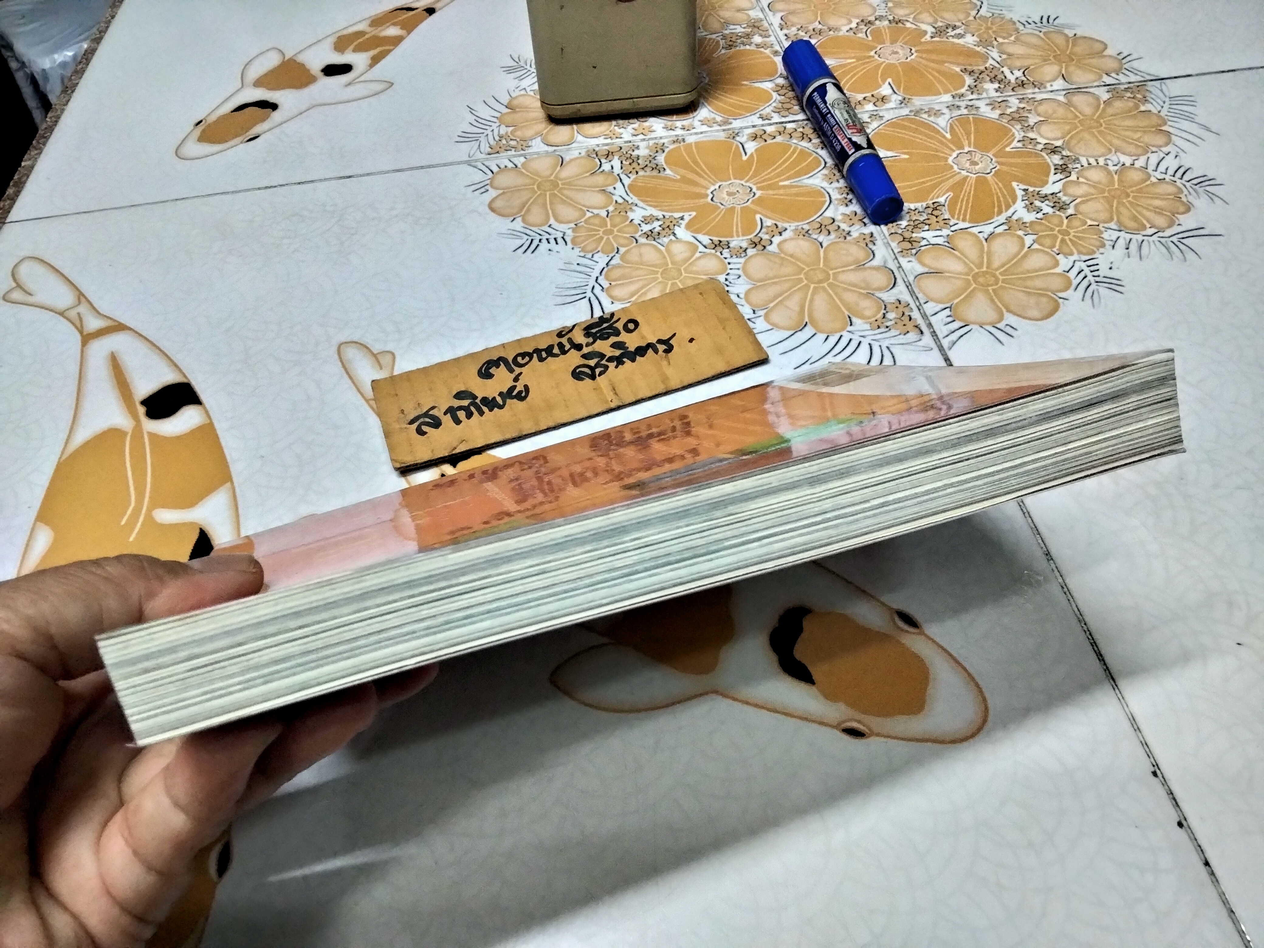 วาดไว้ในเนปาล - พิษณุ ศุภนิมิตร พิมพ์รวมเล่มครั้งแรก มิถุนายน 2550 **สินค้าหมด**