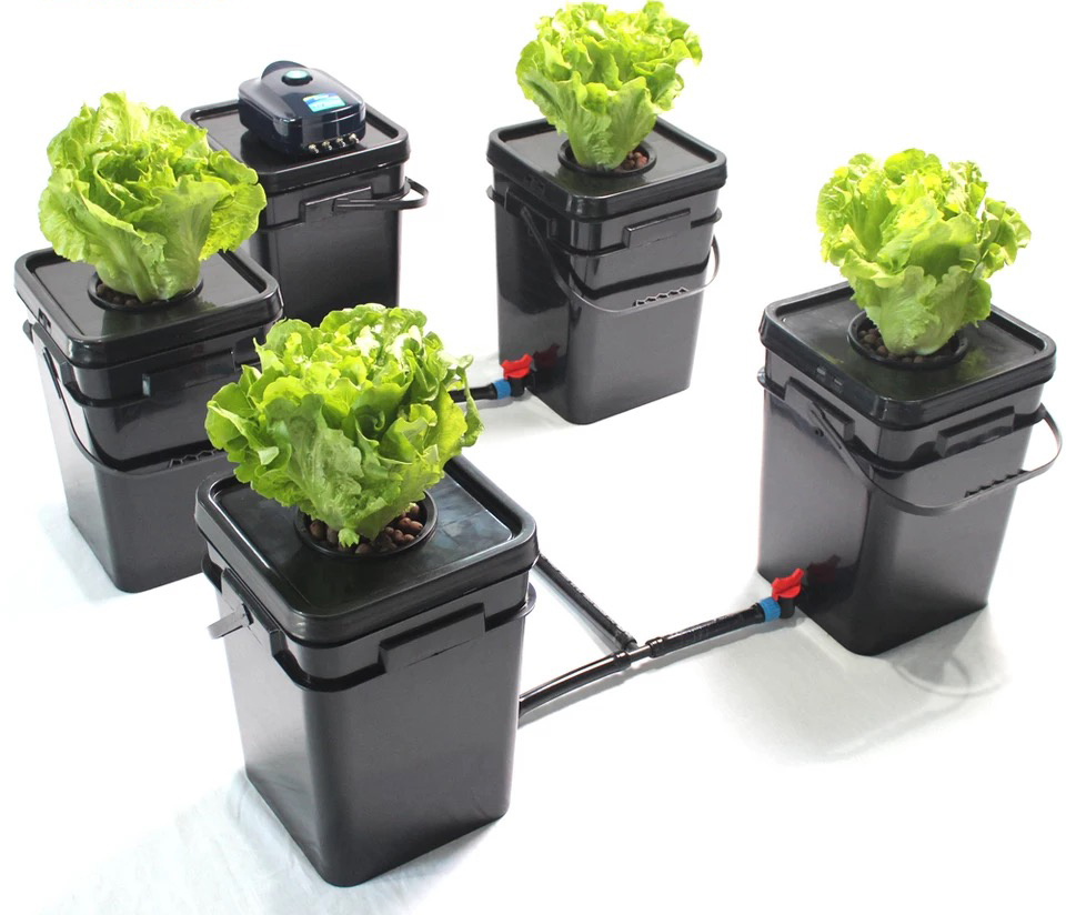 5X5 ระบบ DWC Gallon Cloner Square Bucket For Hdroponics System Garden Room Greenhouse Indoor Hydroponics
