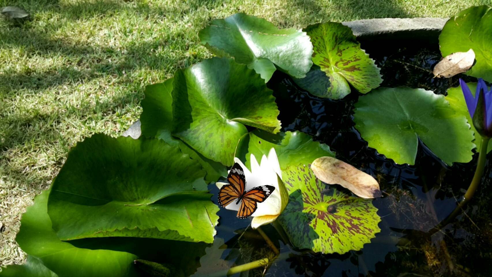 สื่อสามมิติ ด้านภาษา