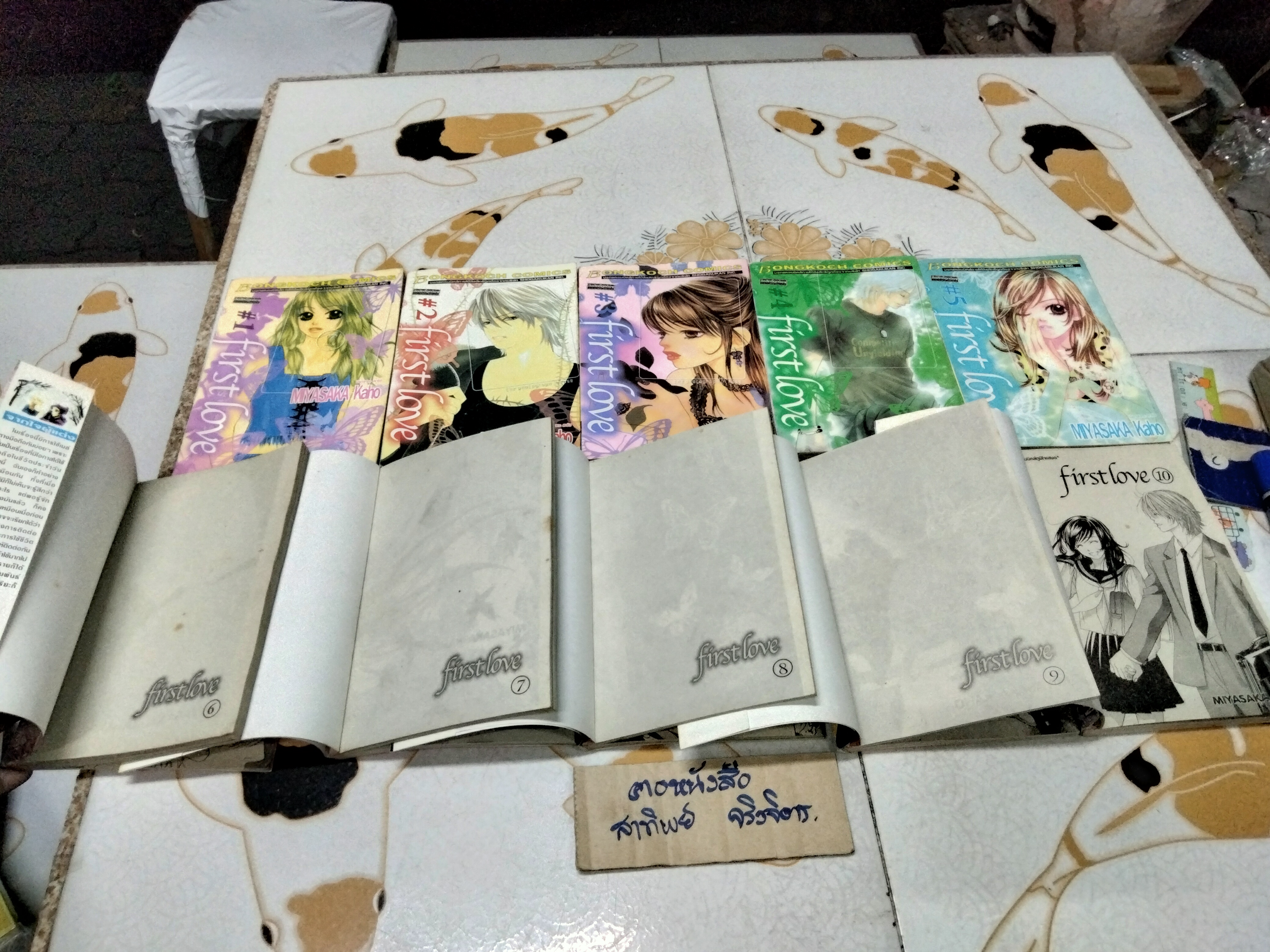 การ์ตูน First Love 1-10 จบ - MIYASAKA KAHO