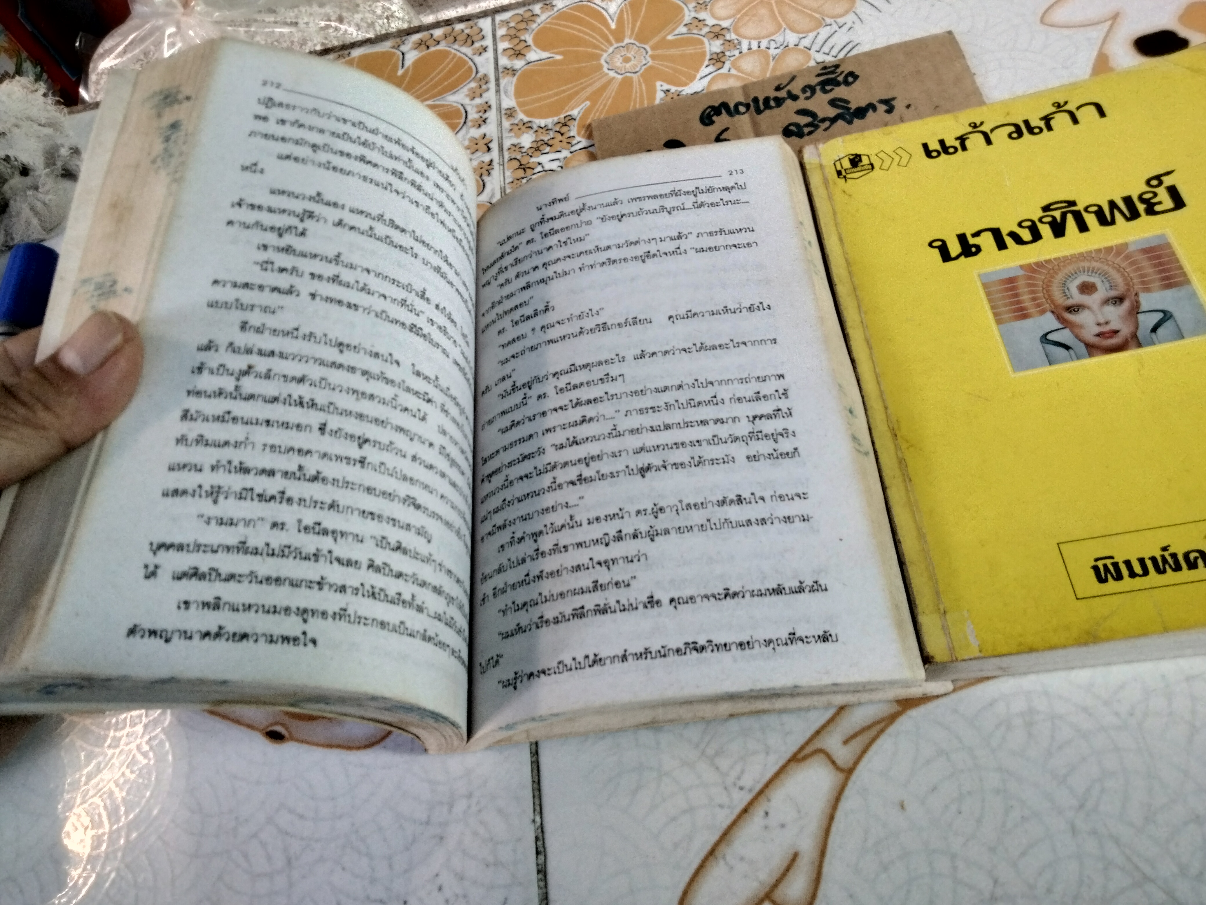 นางทิพย์ (2 เล่มจบ) แก้วเก้า (เช่า+บ้าน) **สินค้าหมด**