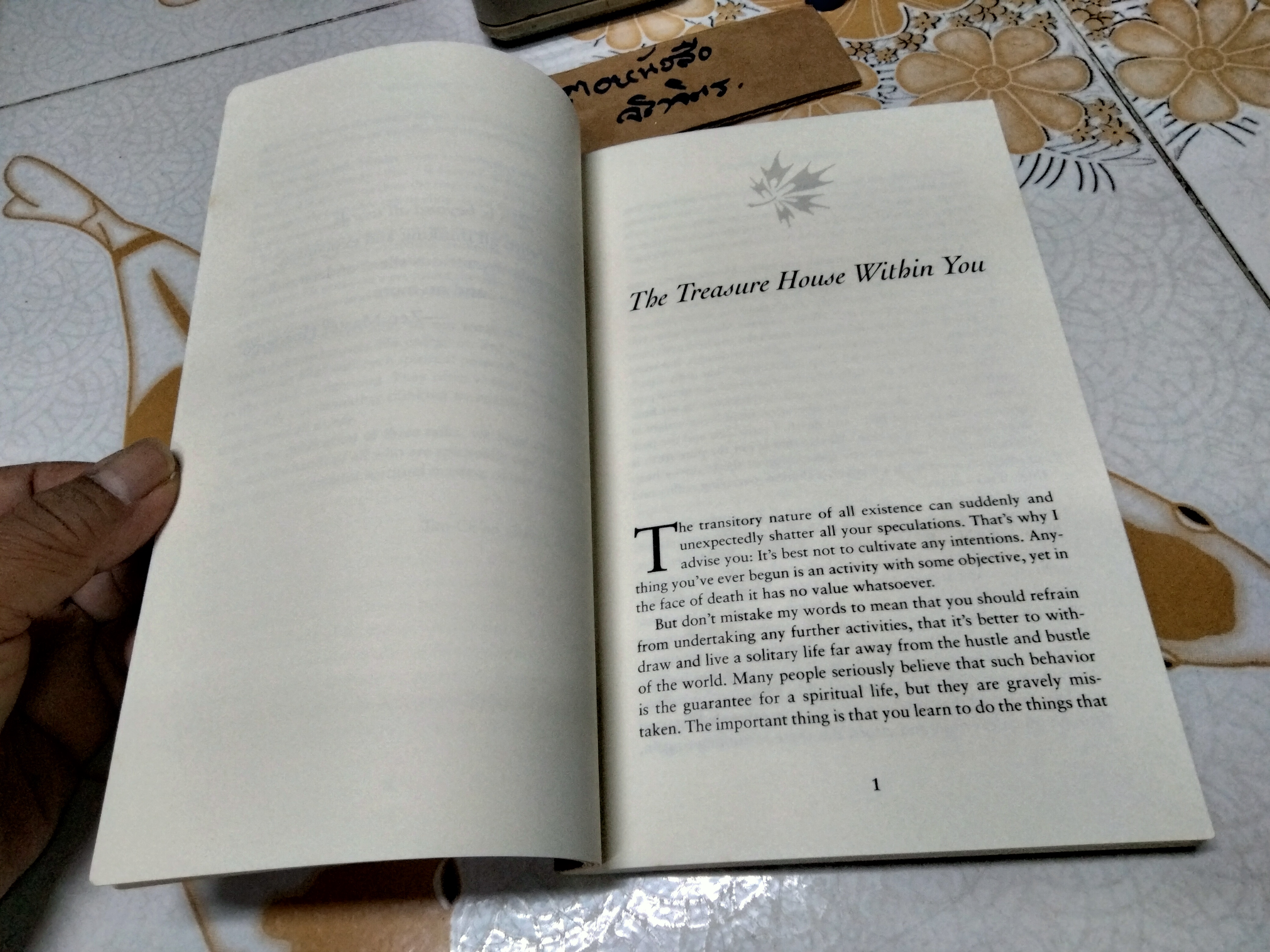 Zen beyond all words, A Western Zen Master's Instructions by Wolfgang Kopp **สินค้าหมด**