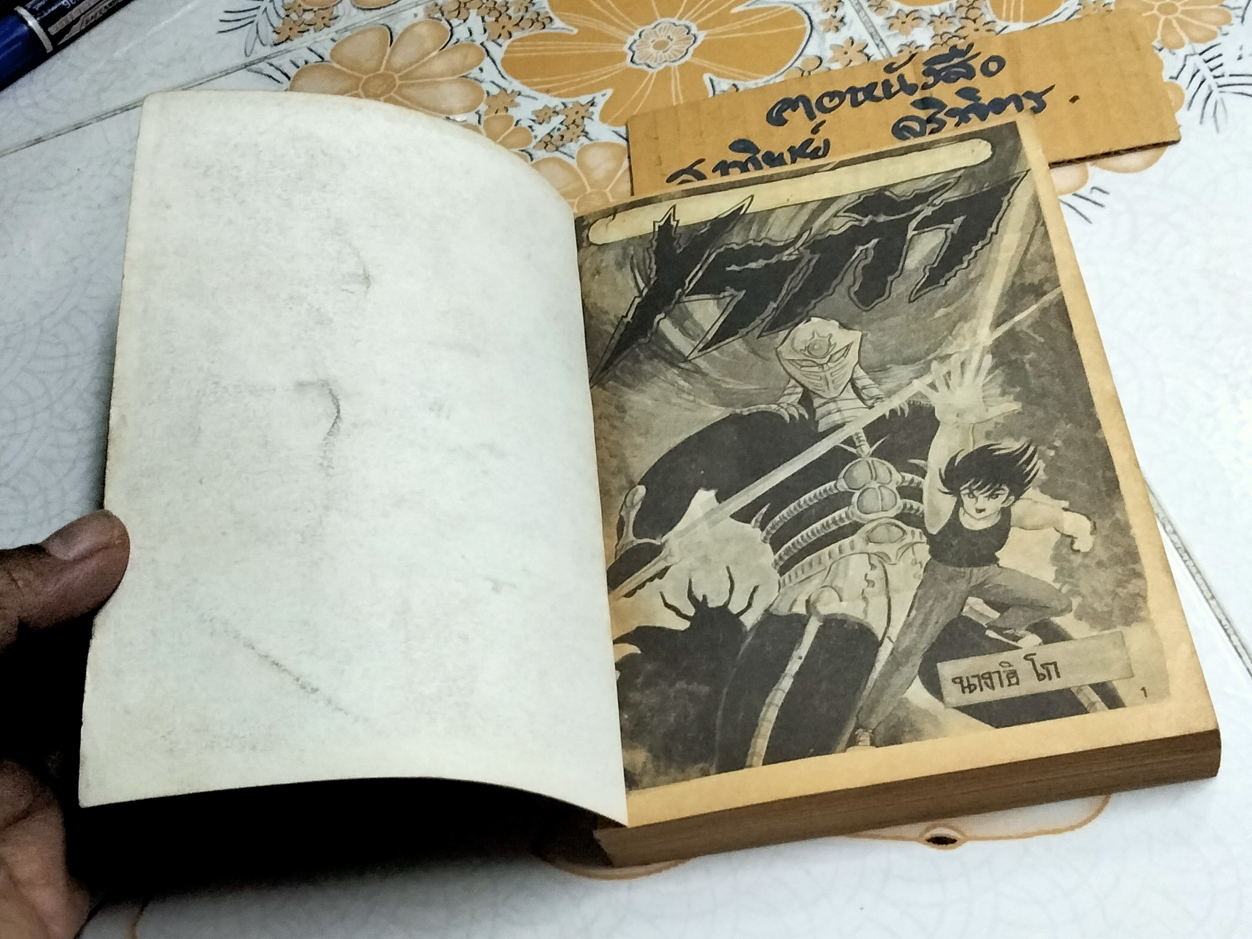 ไรก้า (เล่มเดียวจบ-ฉบับพิมพ์ซ้ำ) นางาอิ โก สนพ.มิตรไมตรี **สินค้าหมด**